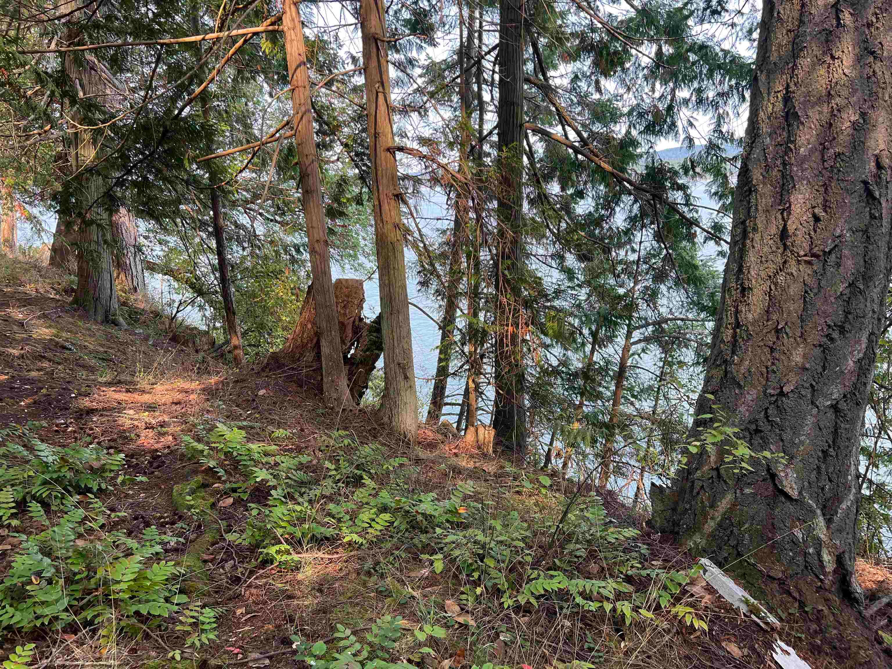 LOT 2 - North End Road, Salt Spring Island, V0V 0V0 — photo 2