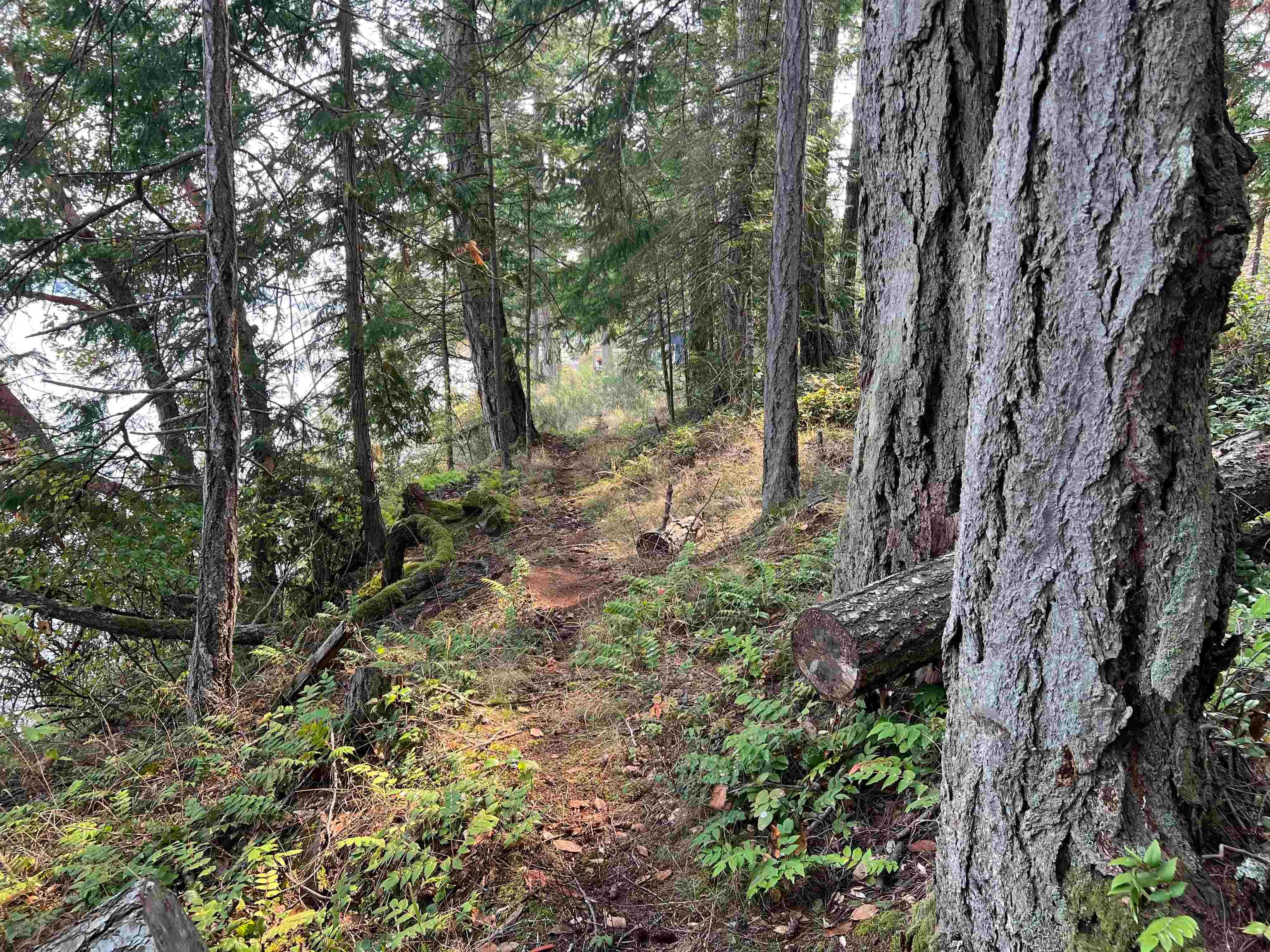 LOT 2 - North End Road, Salt Spring Island, V0V 0V0 — photo 3