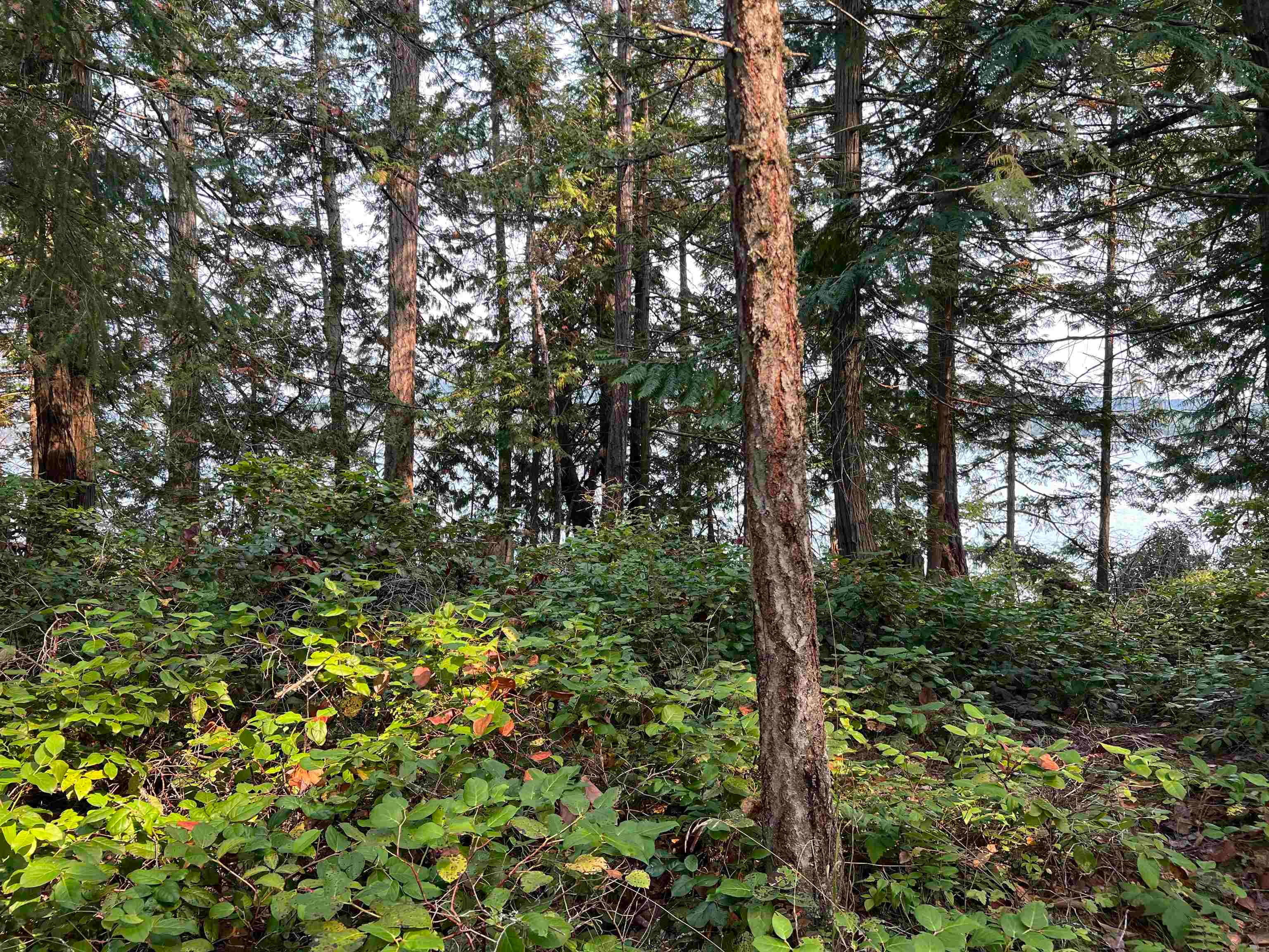 LOT 2 - North End Road, Salt Spring Island