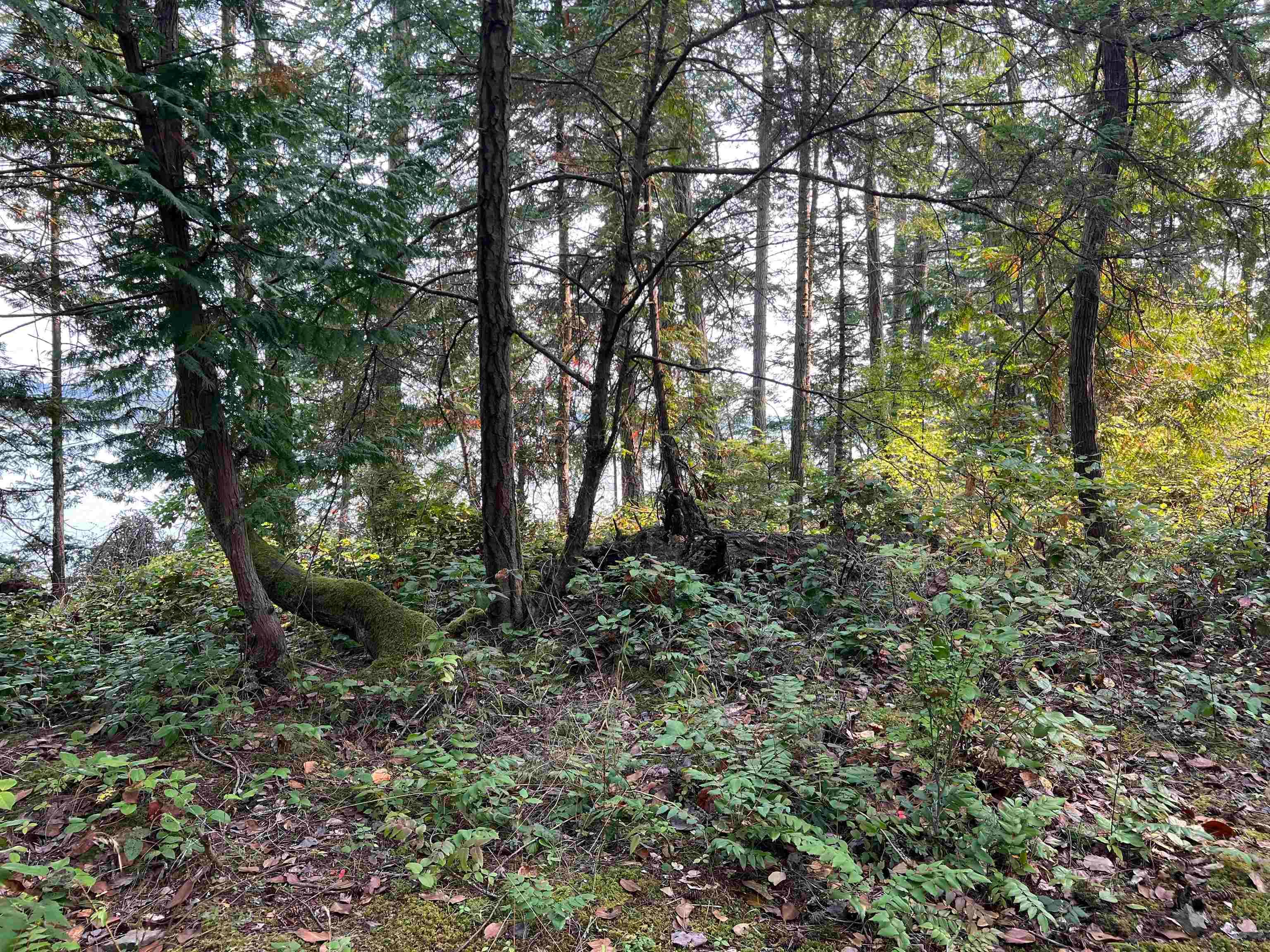 LOT 2 - North End Road, Salt Spring Island, V0V 0V0 — photo 4