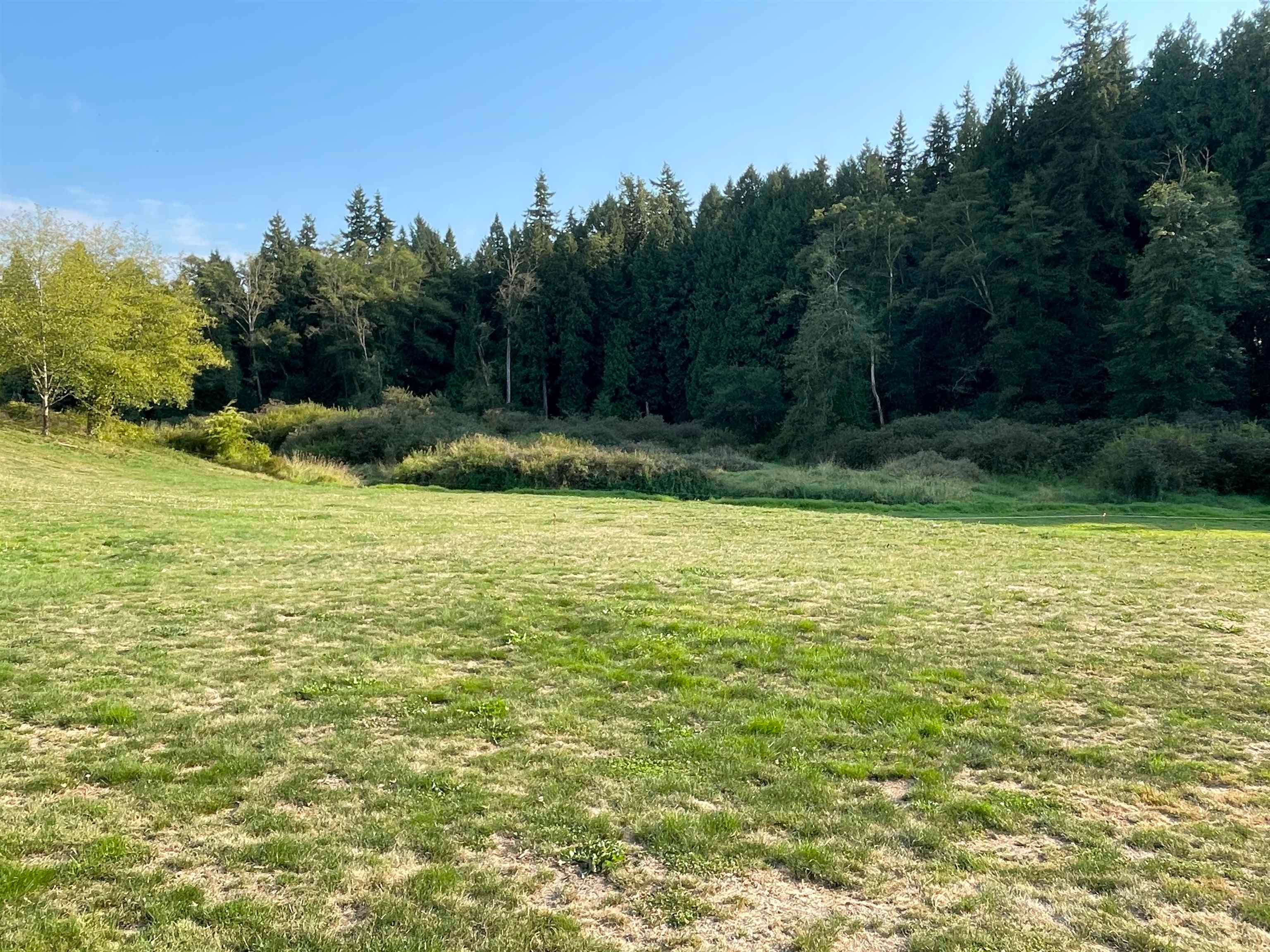 17384 8 Avenue, Surrey