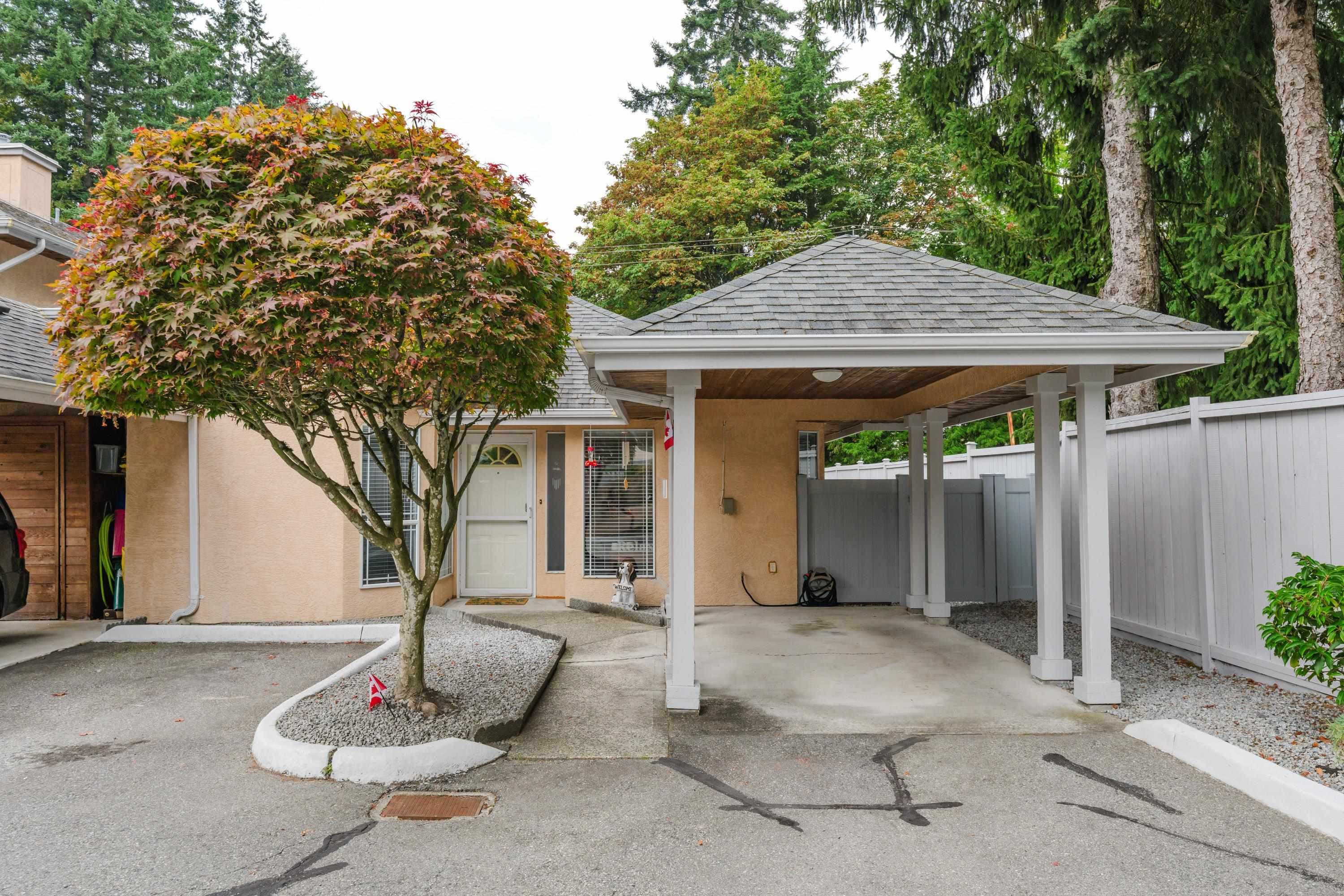 5 - 11950 Laity Street, Maple Ridge