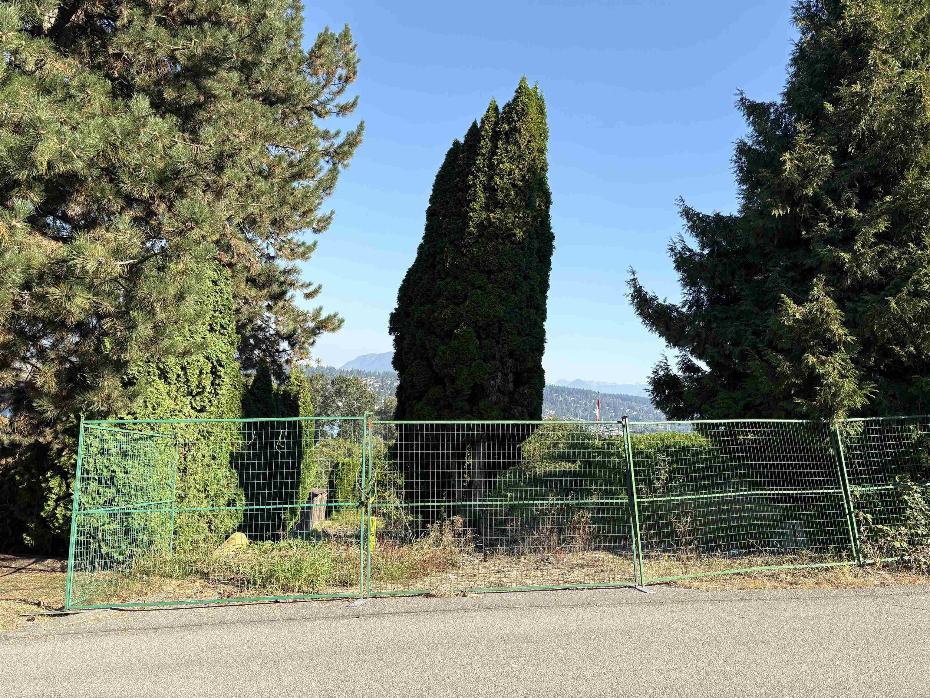 13993 116 Avenue, Surrey, V3R 2T3 — photo 3