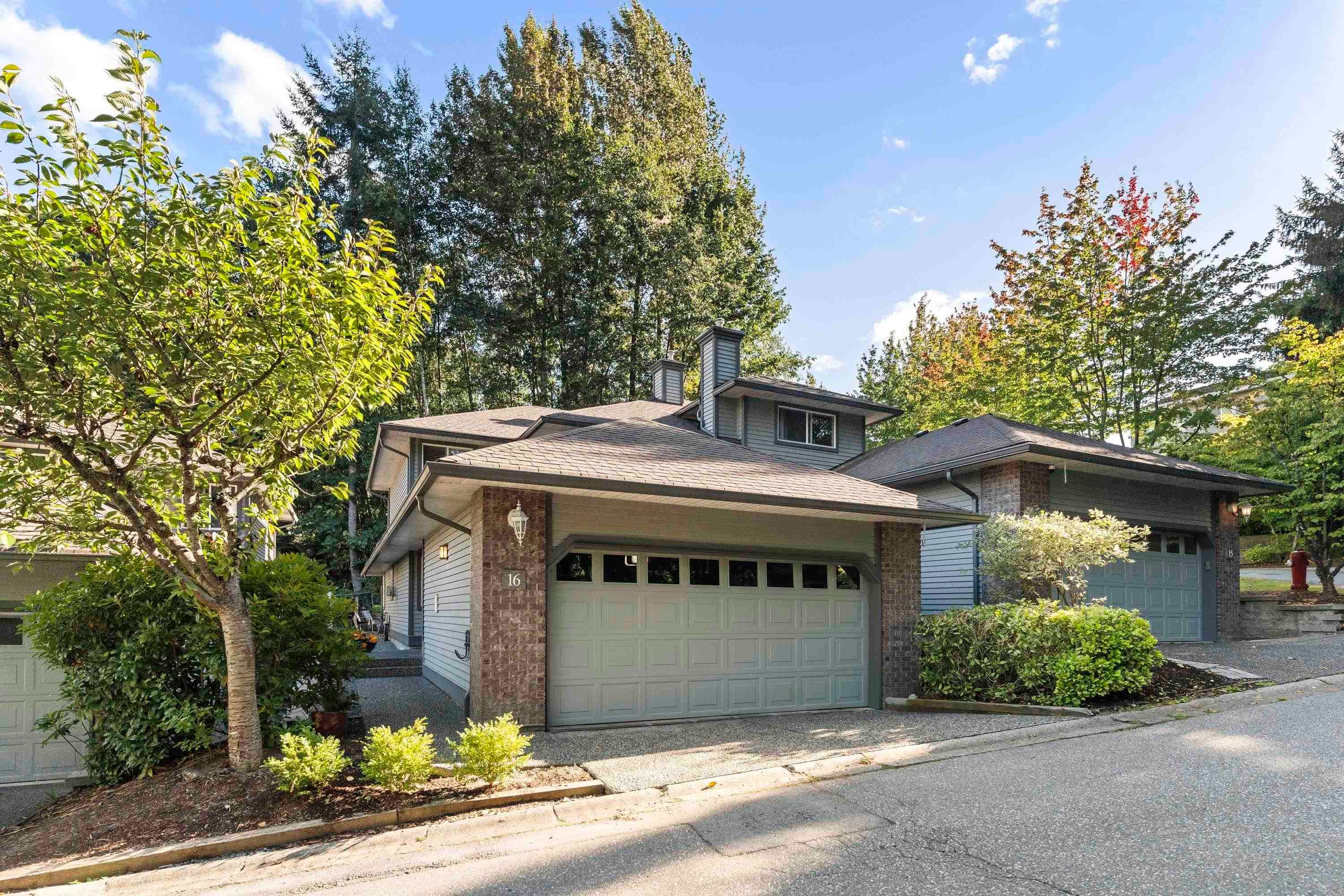 16 - 10505 171 Street, Surrey, V4N 4Y3 — photo 3