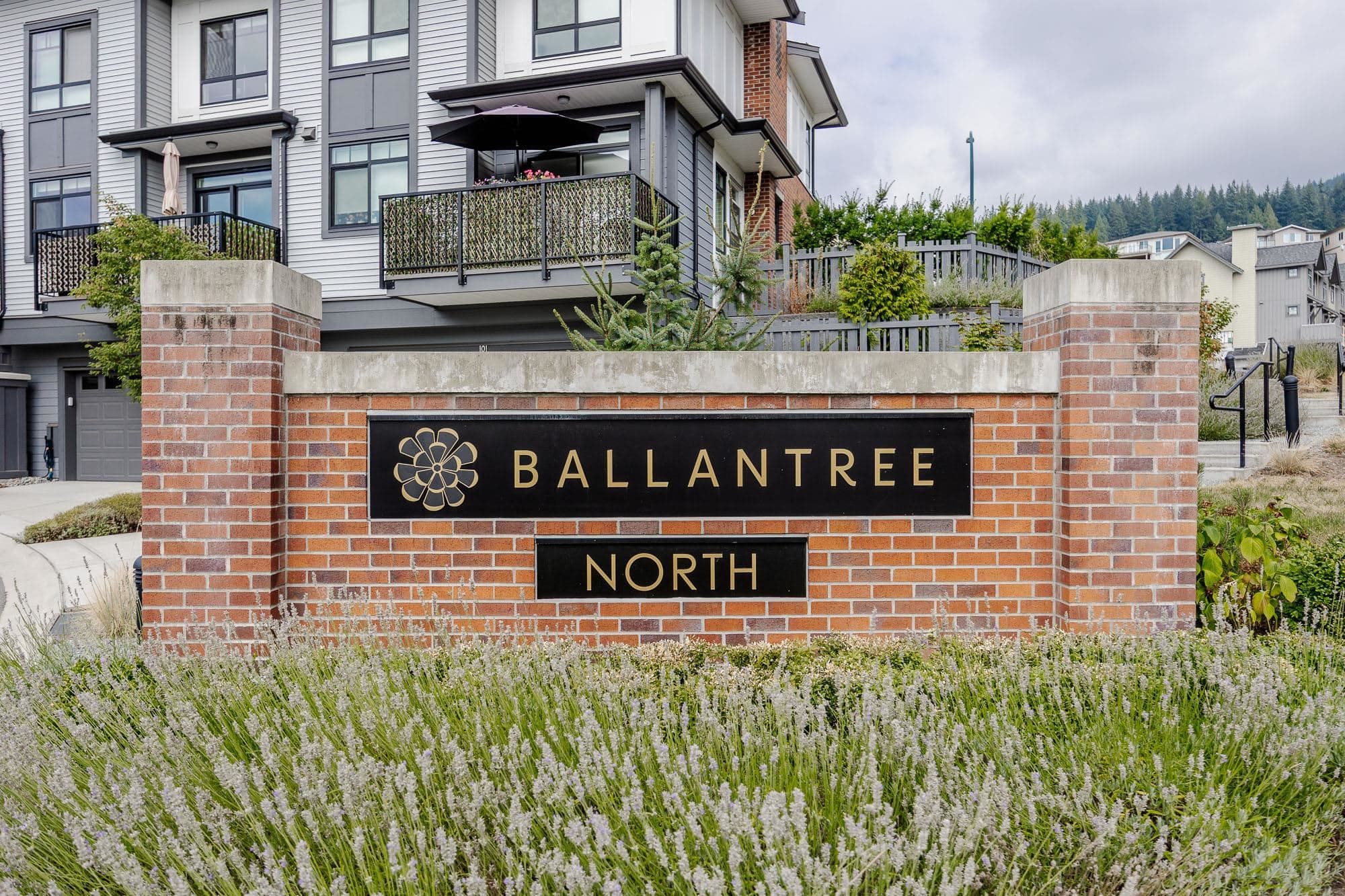 141 - 1360 Mitchell Street, Coquitlam, V3E 0T7 — photo 2