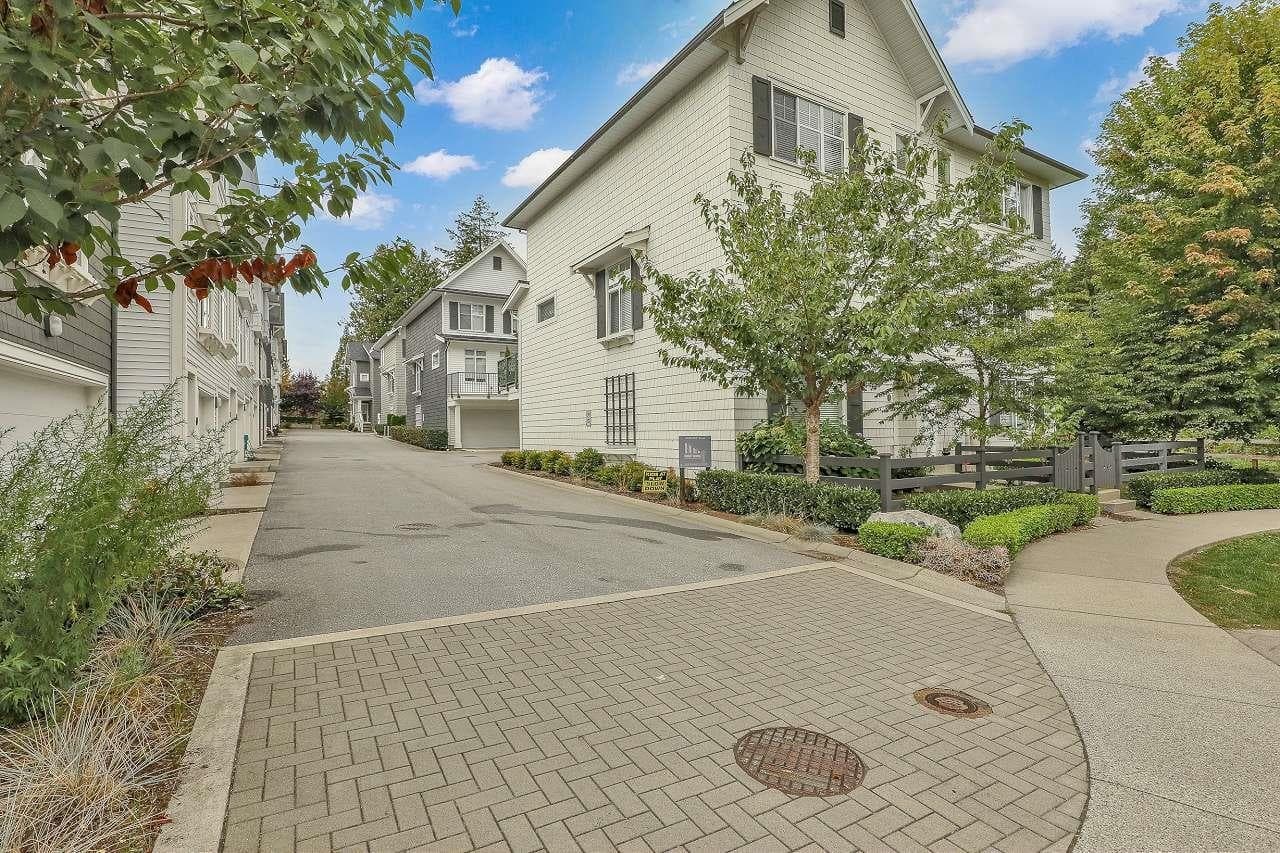 8 - 10433 158 Street, Surrey