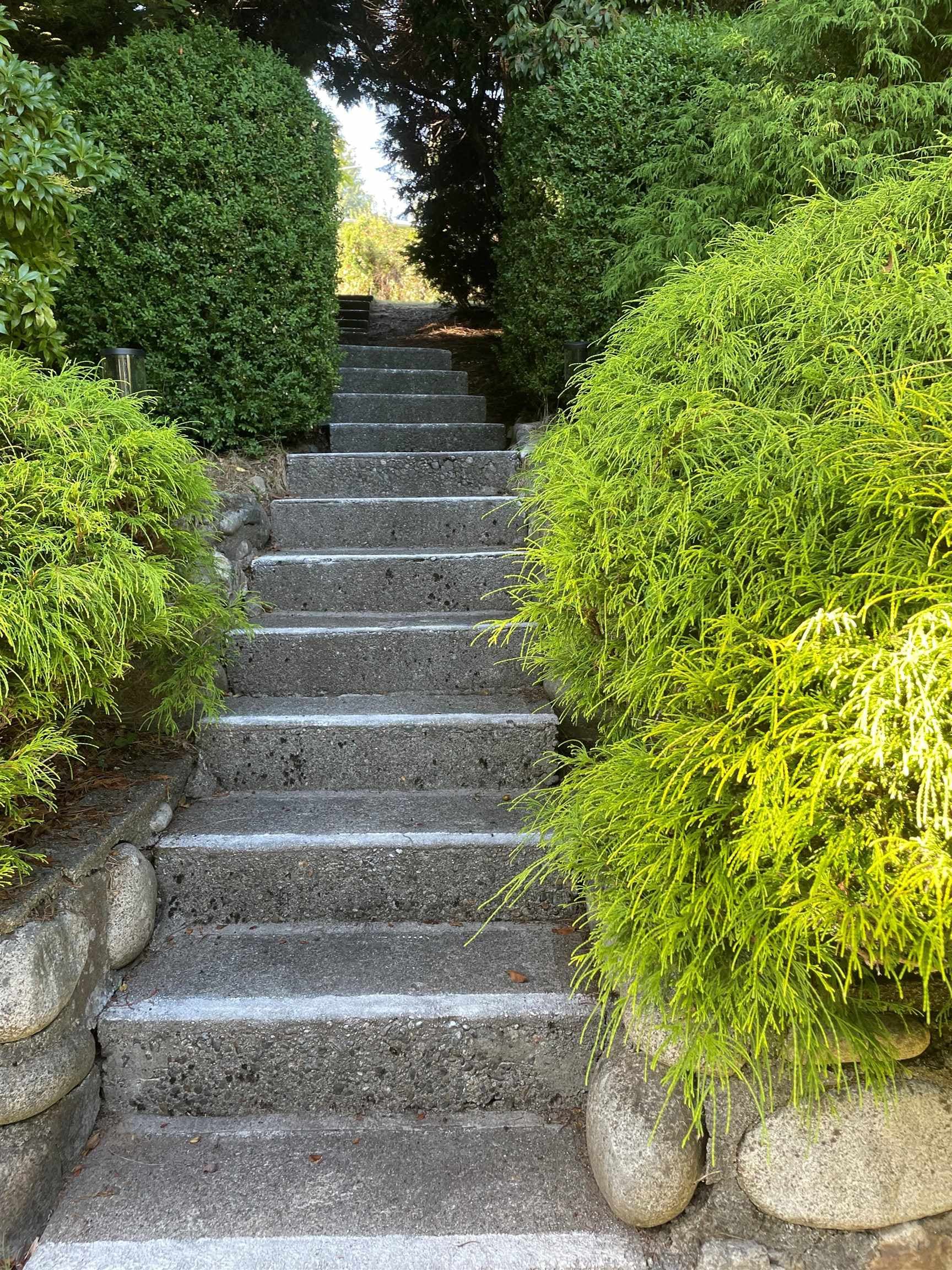 903 E Keith Road, North Vancouver, V7L 1X1 — photo 4