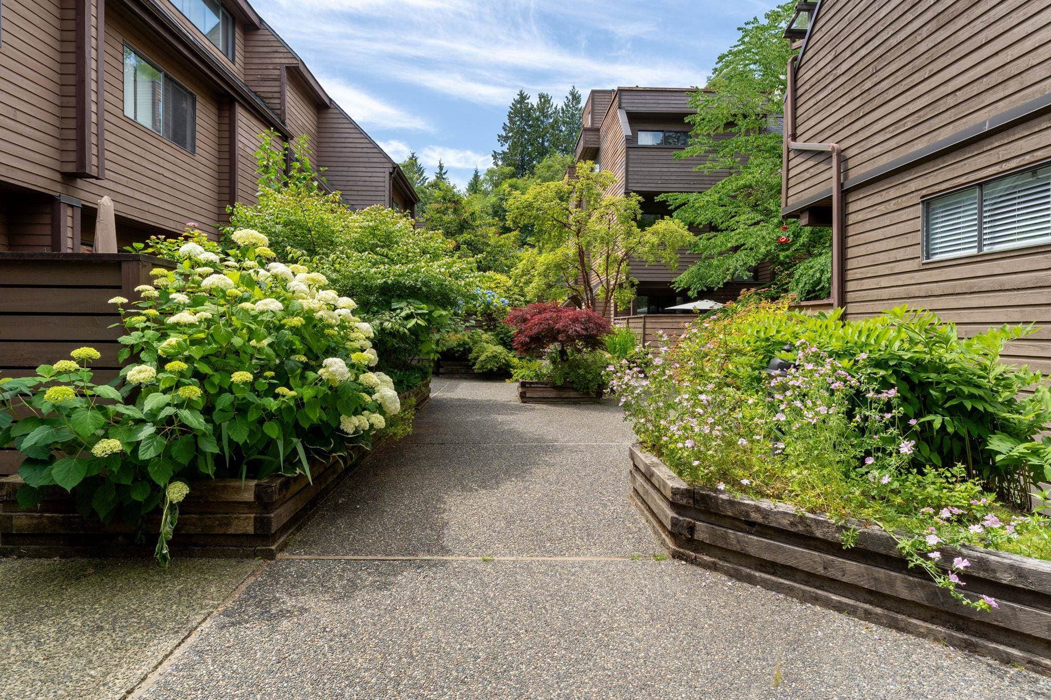 3349 Mountain Highway, North Vancouver, V7K 2H4 — photo 3