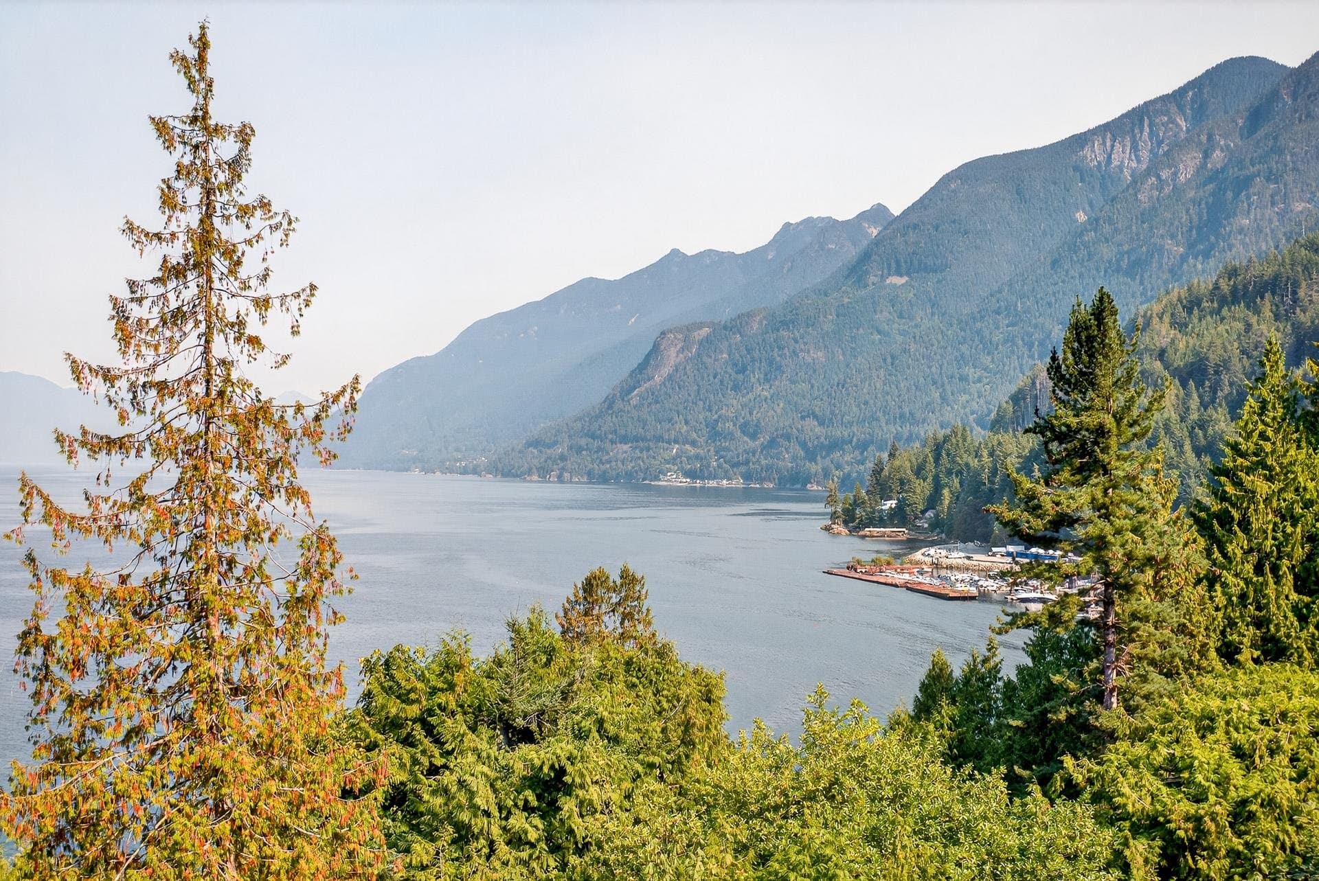 8598 Bedora Place, West Vancouver — sold