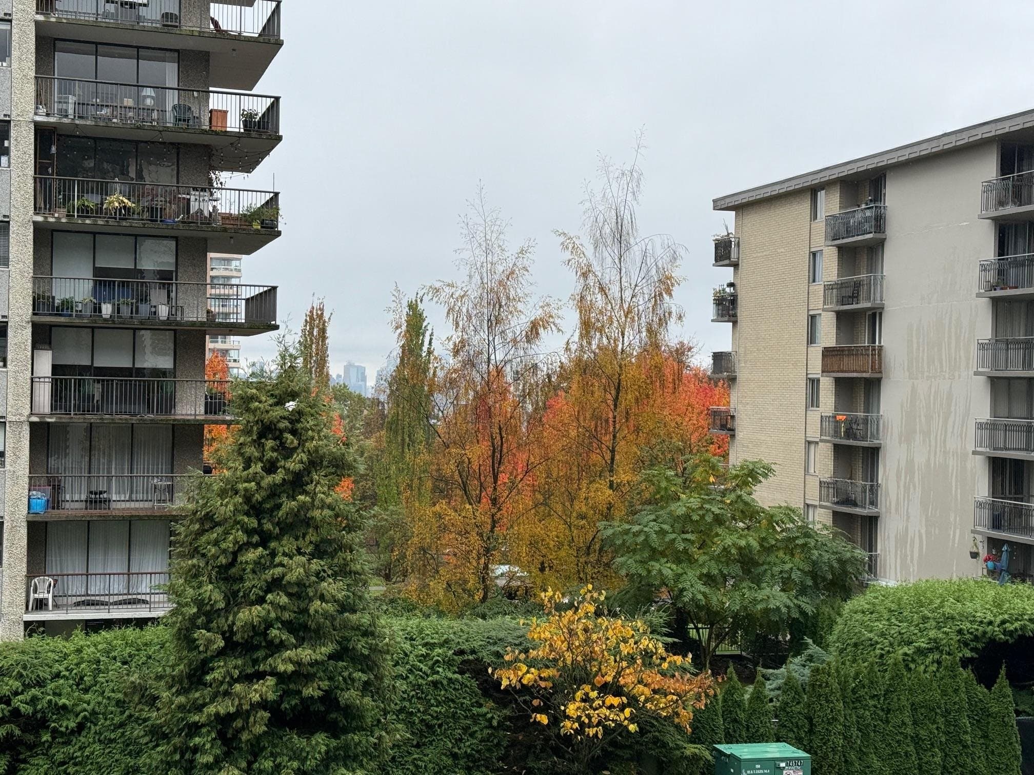 202 - 108 E 8th Street, North Vancouver, V7L 0H1 — photo 5