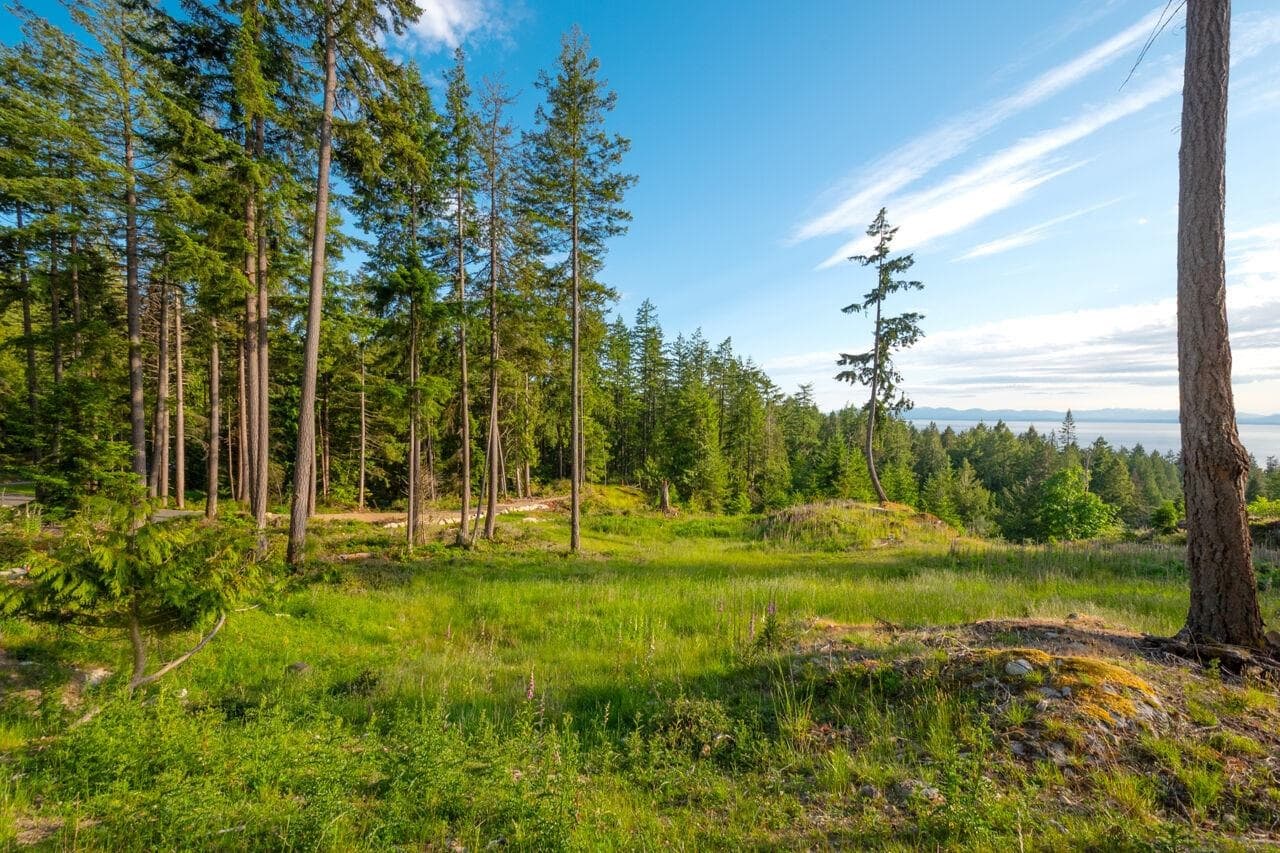 Lot 2 Innisfree Lane, Bowen Island, V0N 1G2 — photo 3