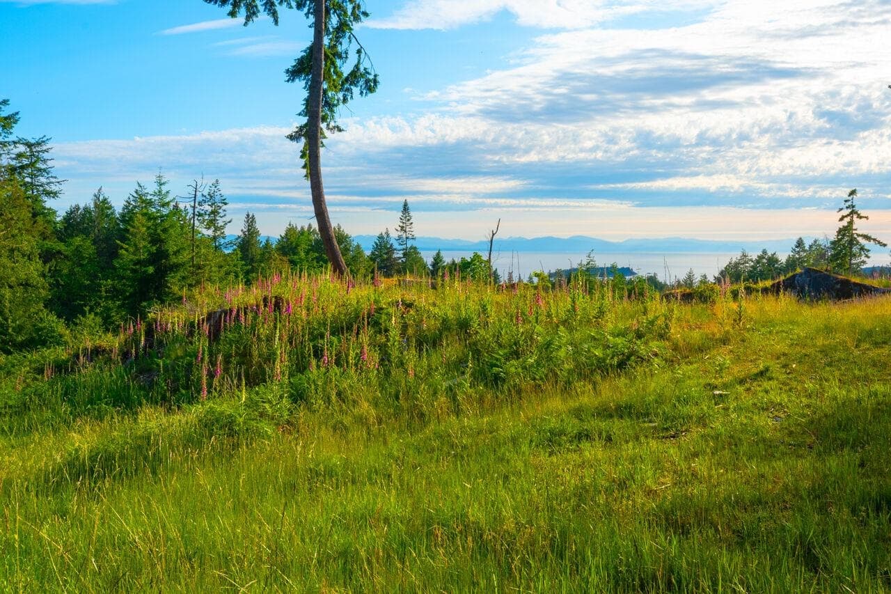 Lot 2 Innisfree Lane, Bowen Island, V0N 1G2 — photo 5