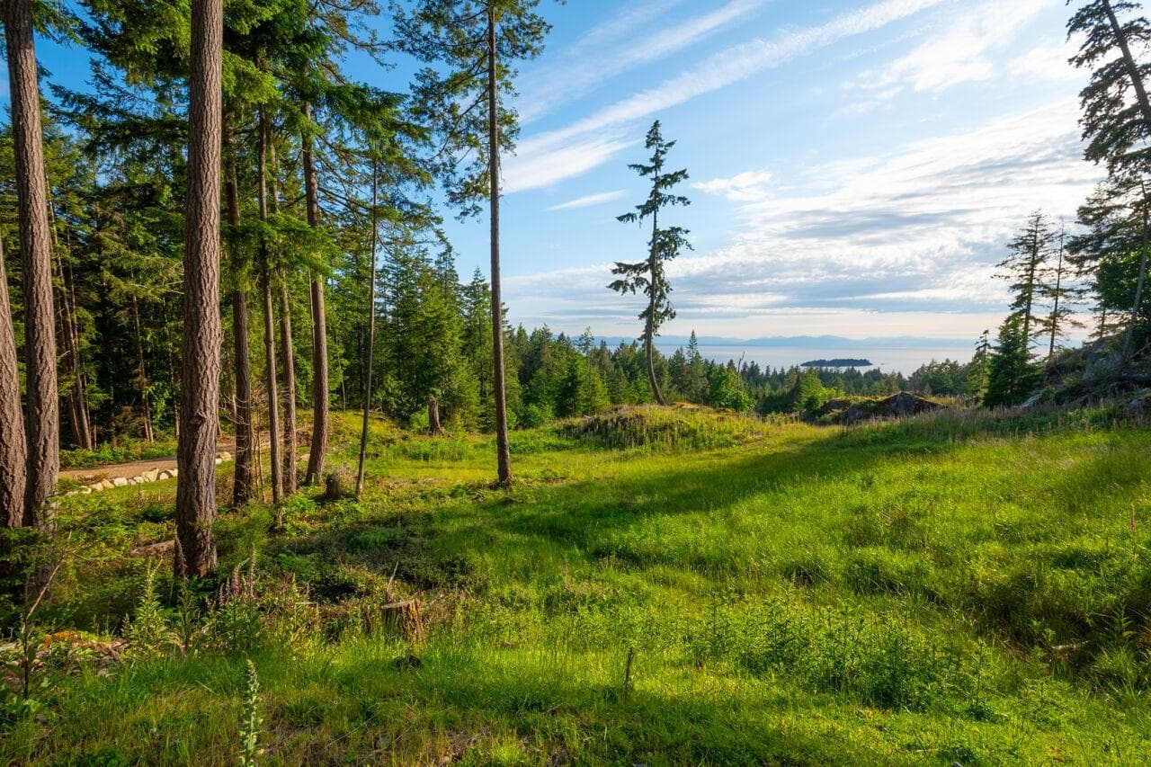 Lot 2 Innisfree Lane, Bowen Island, V0N 1G2 — photo 4