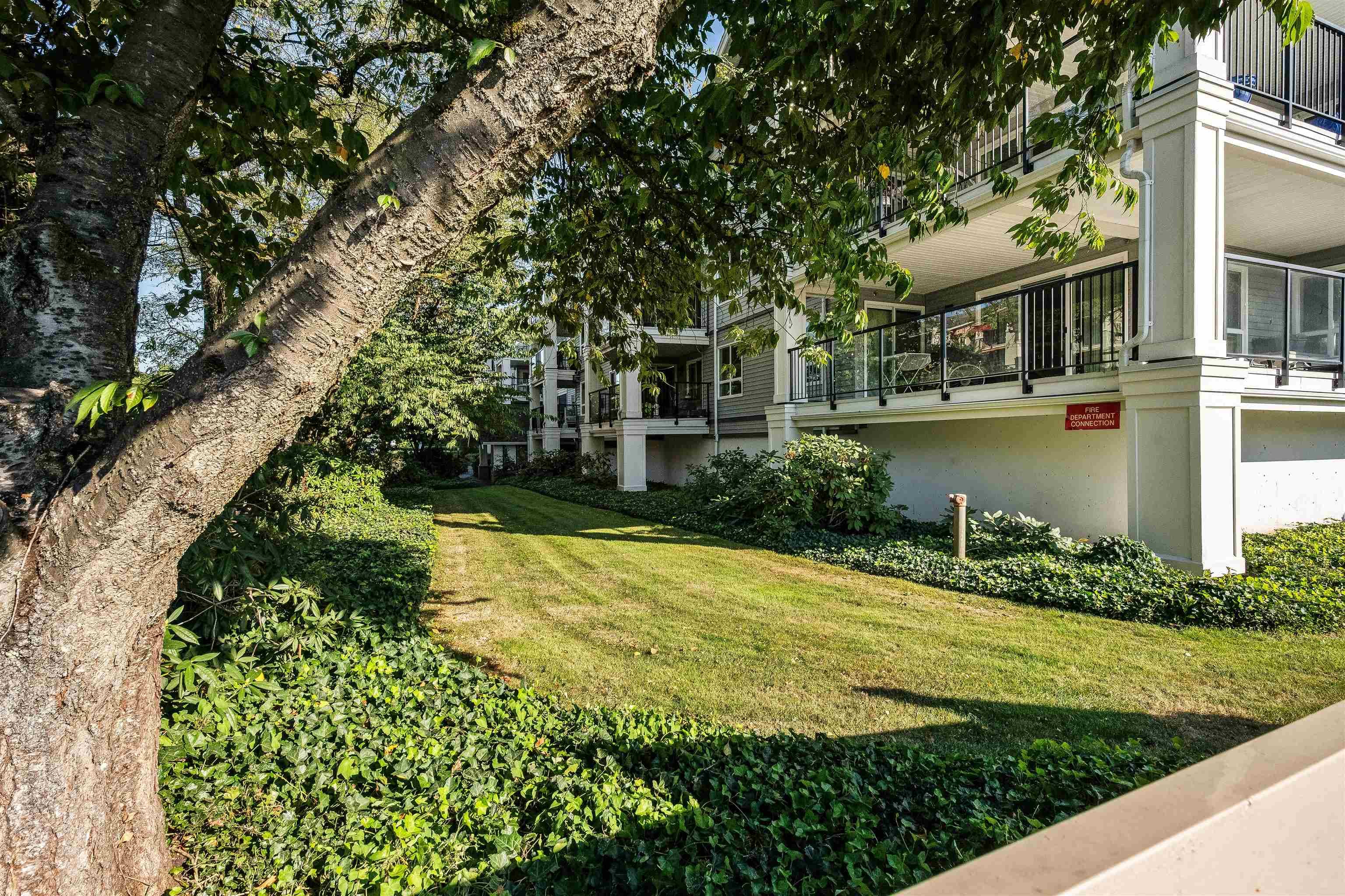 210 - 20976 56 Avenue, Langley, V3A 7Z2 — photo 4