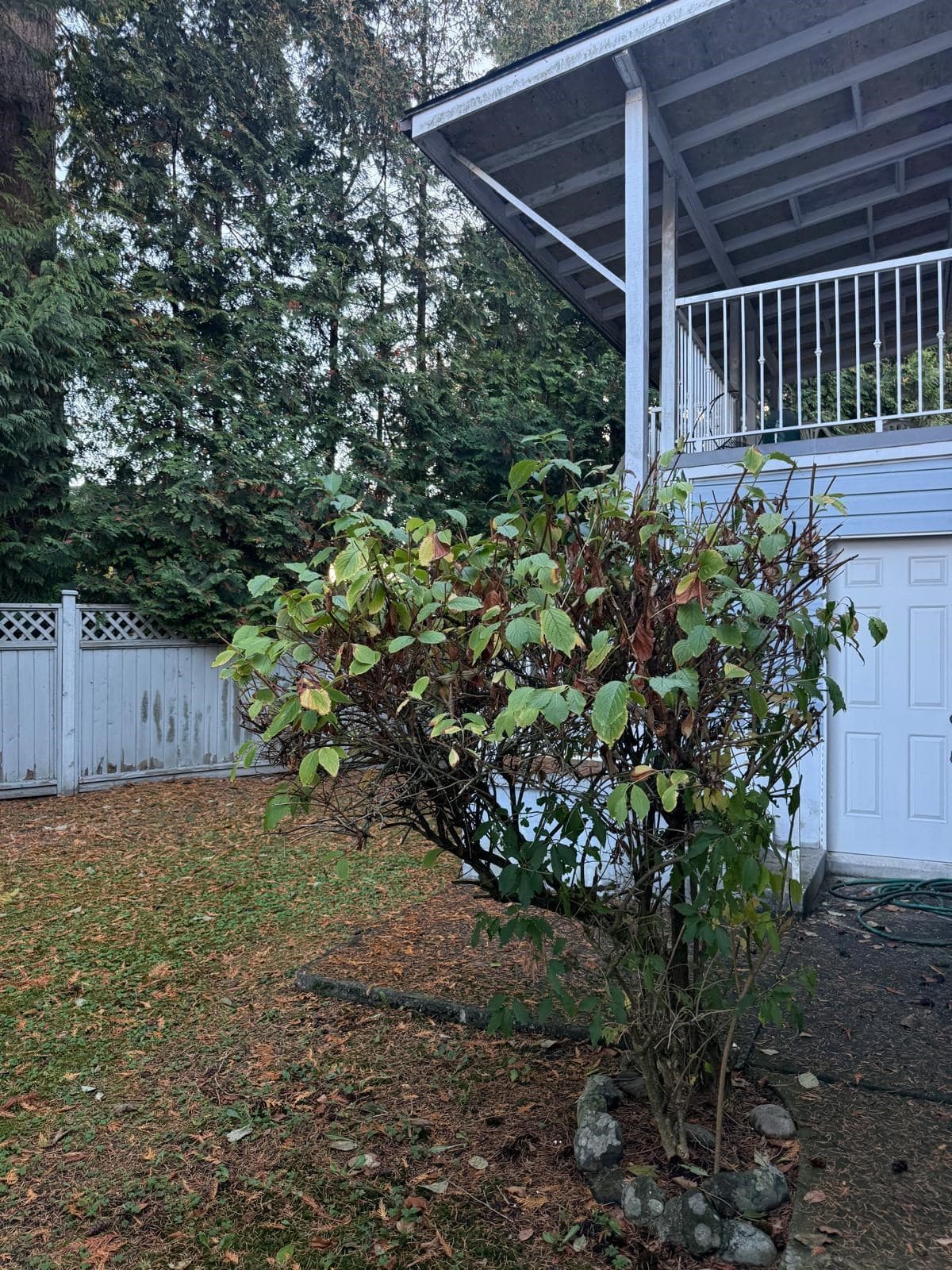 6738 128b Street, Surrey, V3W 7C4 — photo 3