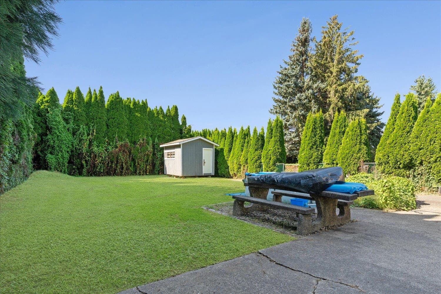 9225 James Street, Chilliwack, V2P 6G8 — photo 4