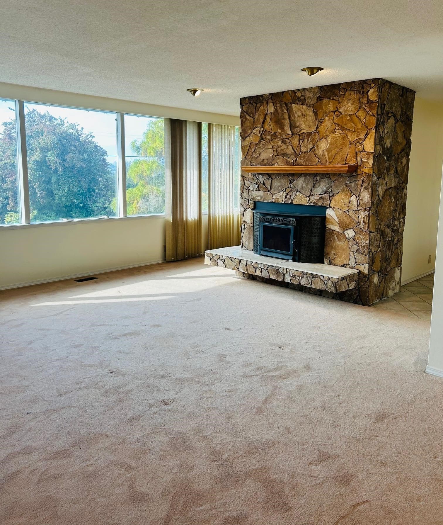 10360 125a Street, Surrey, V3V 4Z8 — photo 5