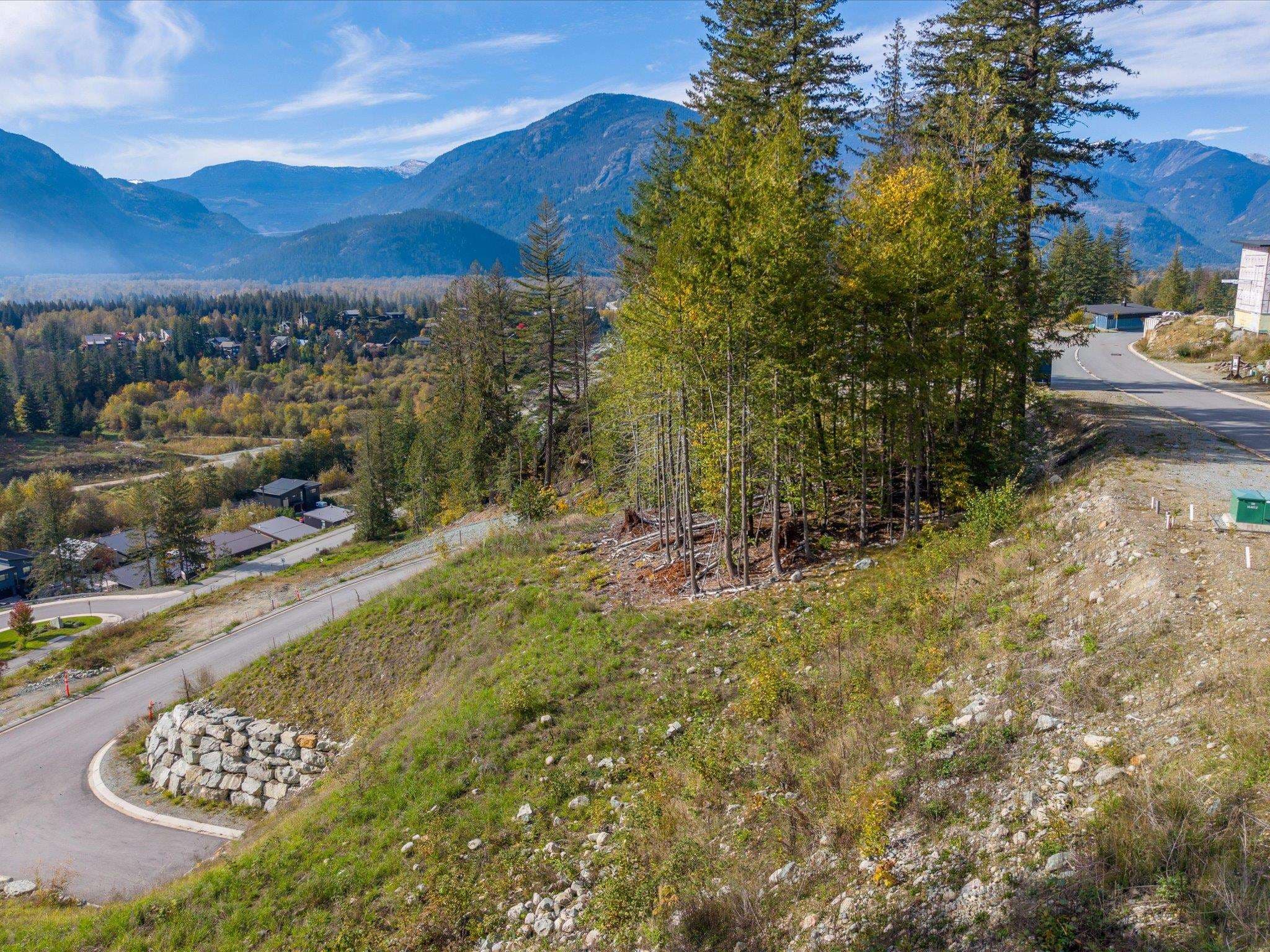 8204 Merlot Peak Drive, Pemberton, V0N 2L3 — photo 4