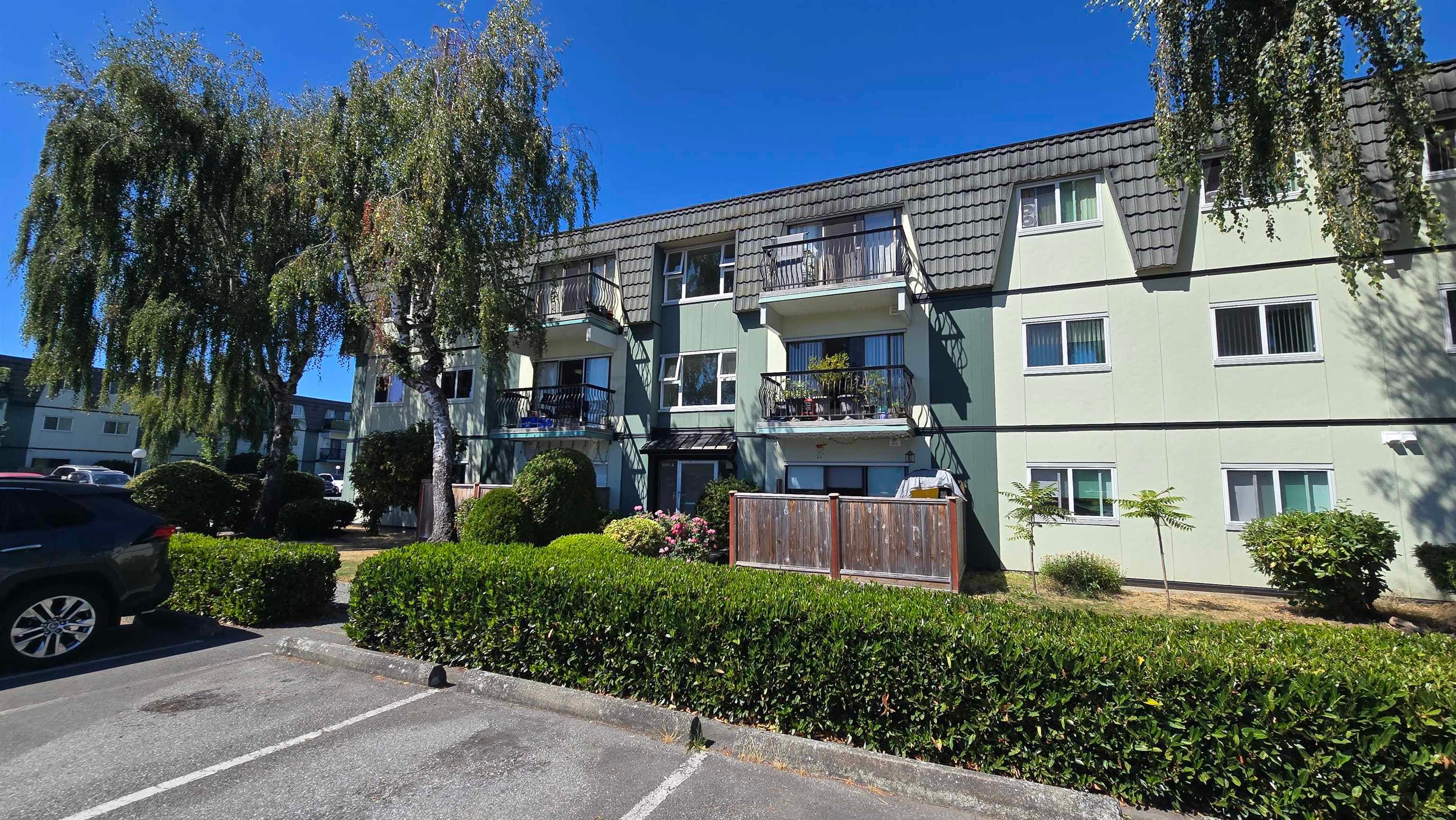 237 - 8091 Ryan Road, Richmond