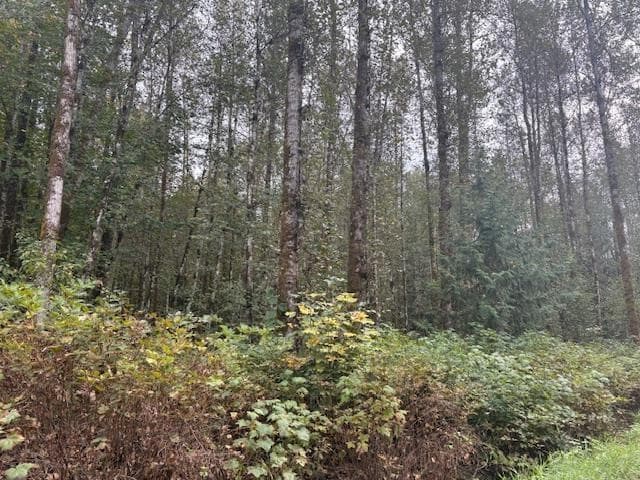 DL990 NW Magee Road, Squamish, V0N 3G0 — photo 3