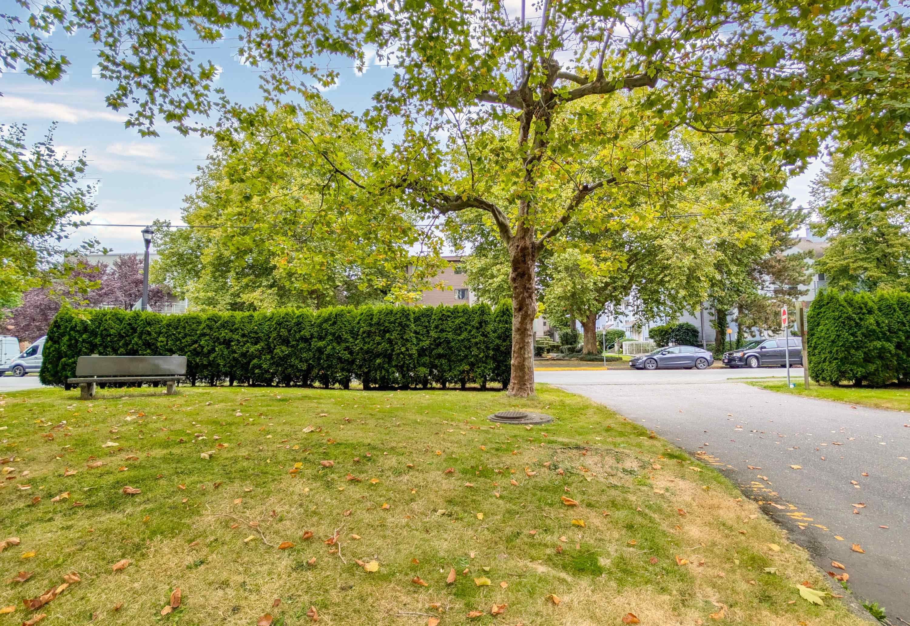 313 - 8700 Ackroyd Road, Richmond, V6X 3G2 — photo 3