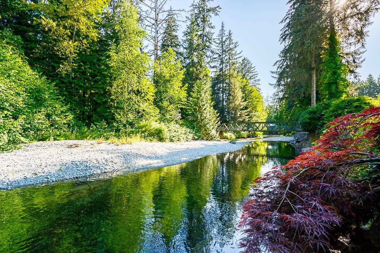 22696 132 Avenue, Maple Ridge