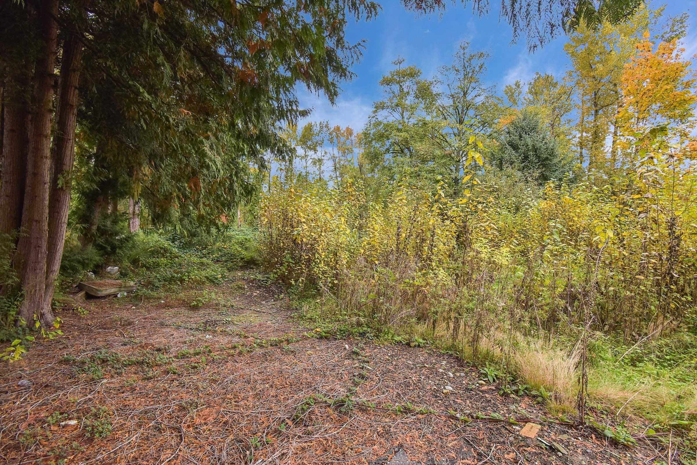 14409 115 Avenue, Surrey, V3R 5Y2 — photo 3