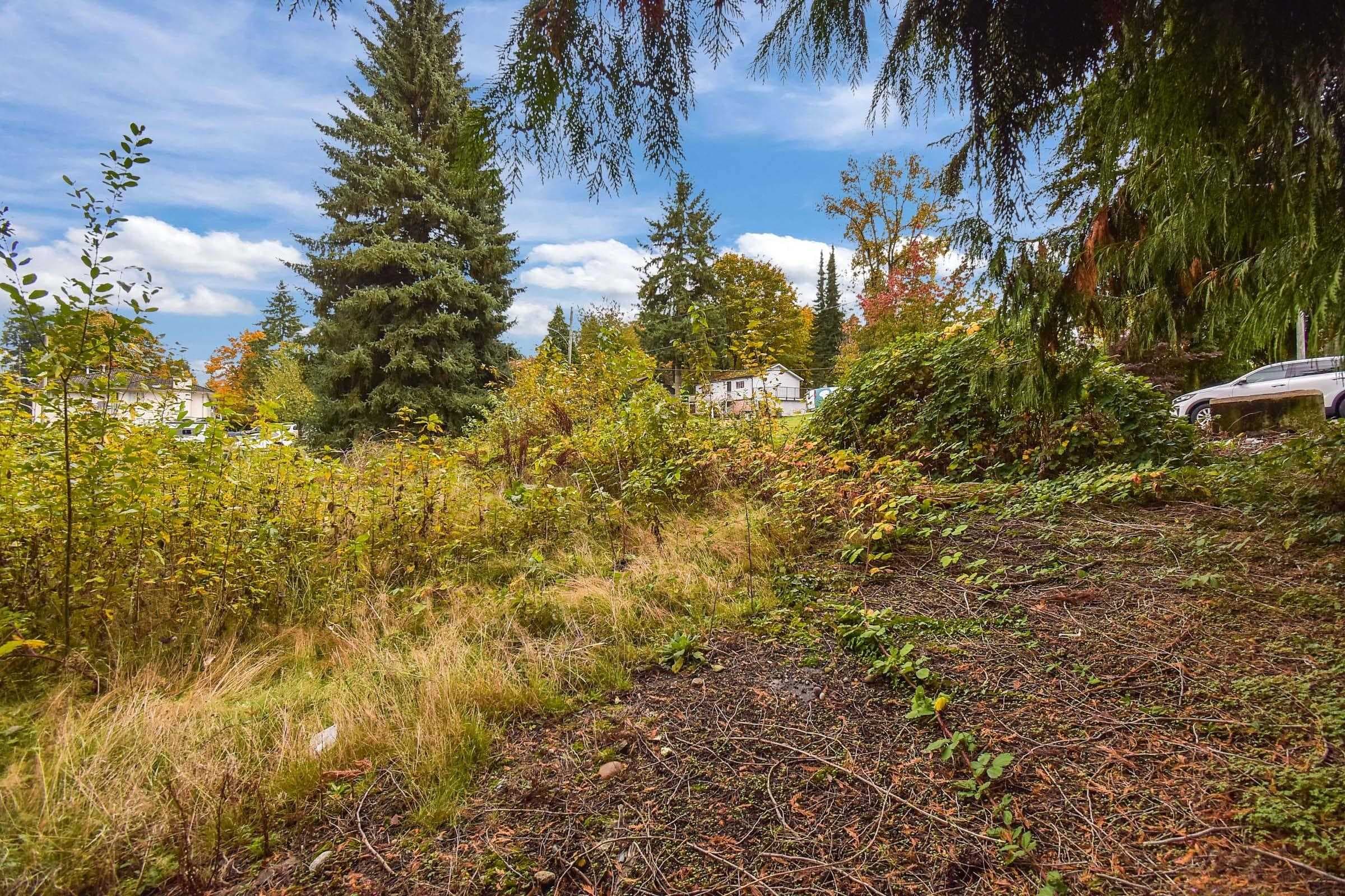 14409 115 Avenue, Surrey, V3R 5Y2 — photo 4