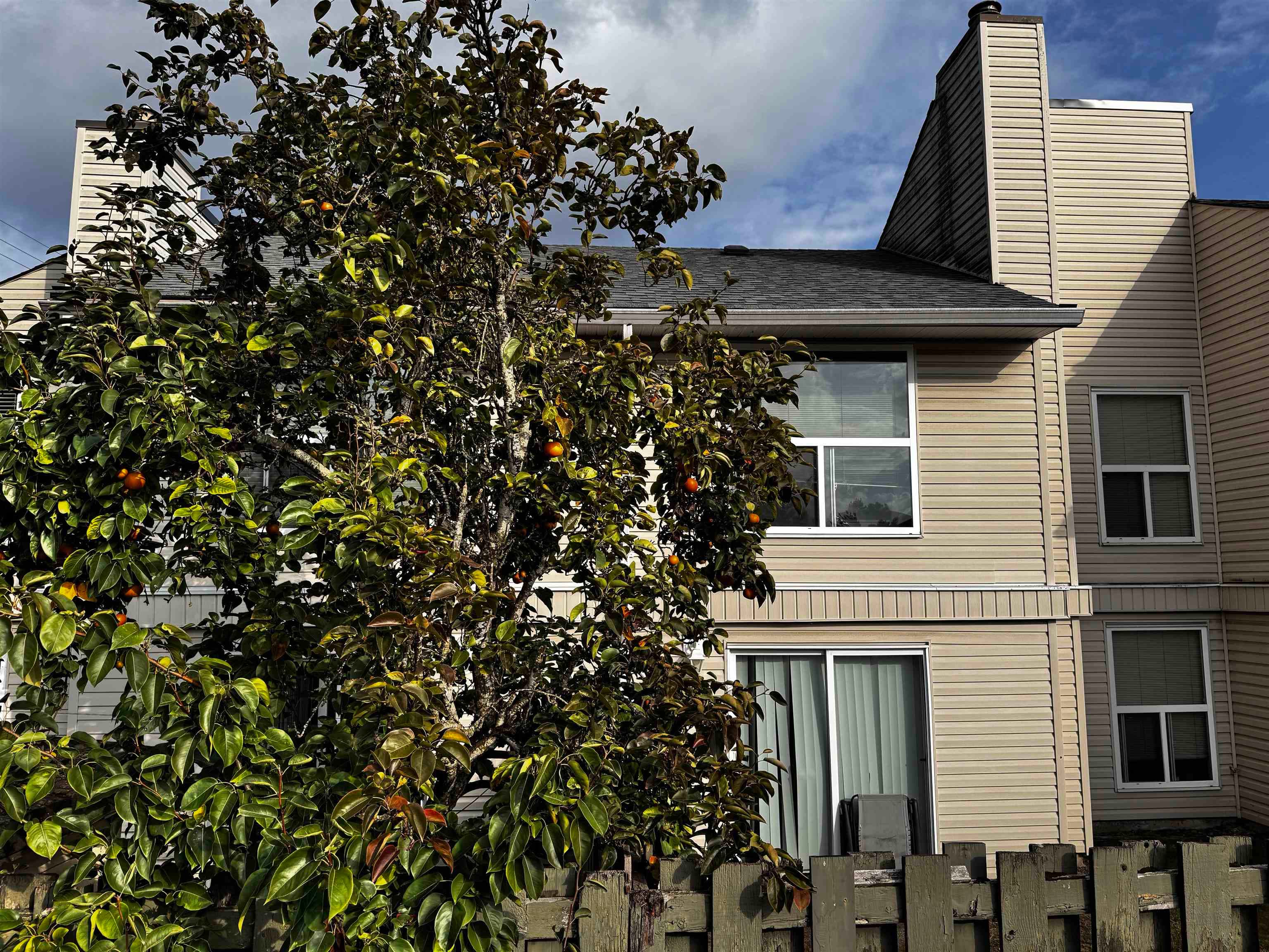 , Abbotsford — photo 3