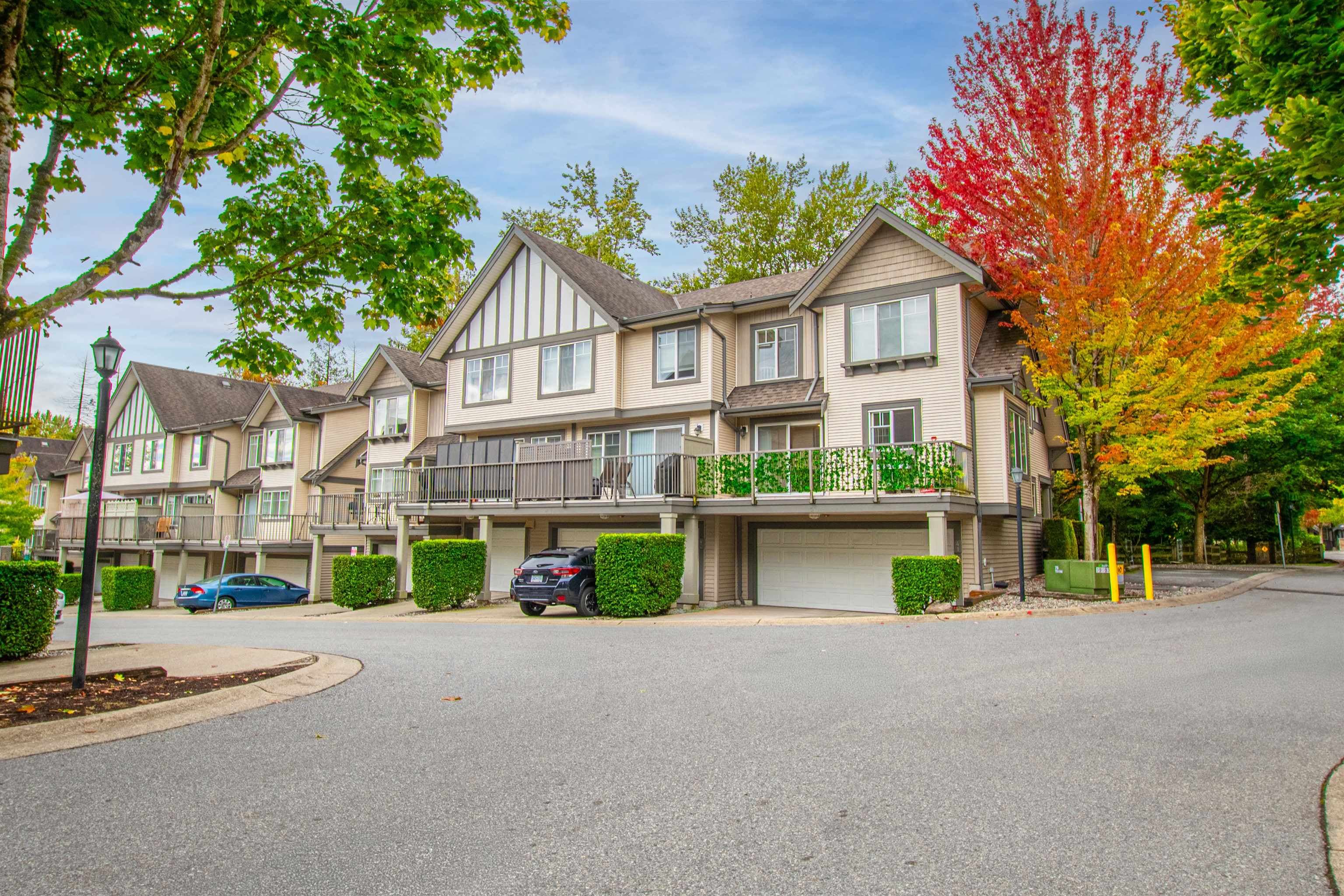 #41