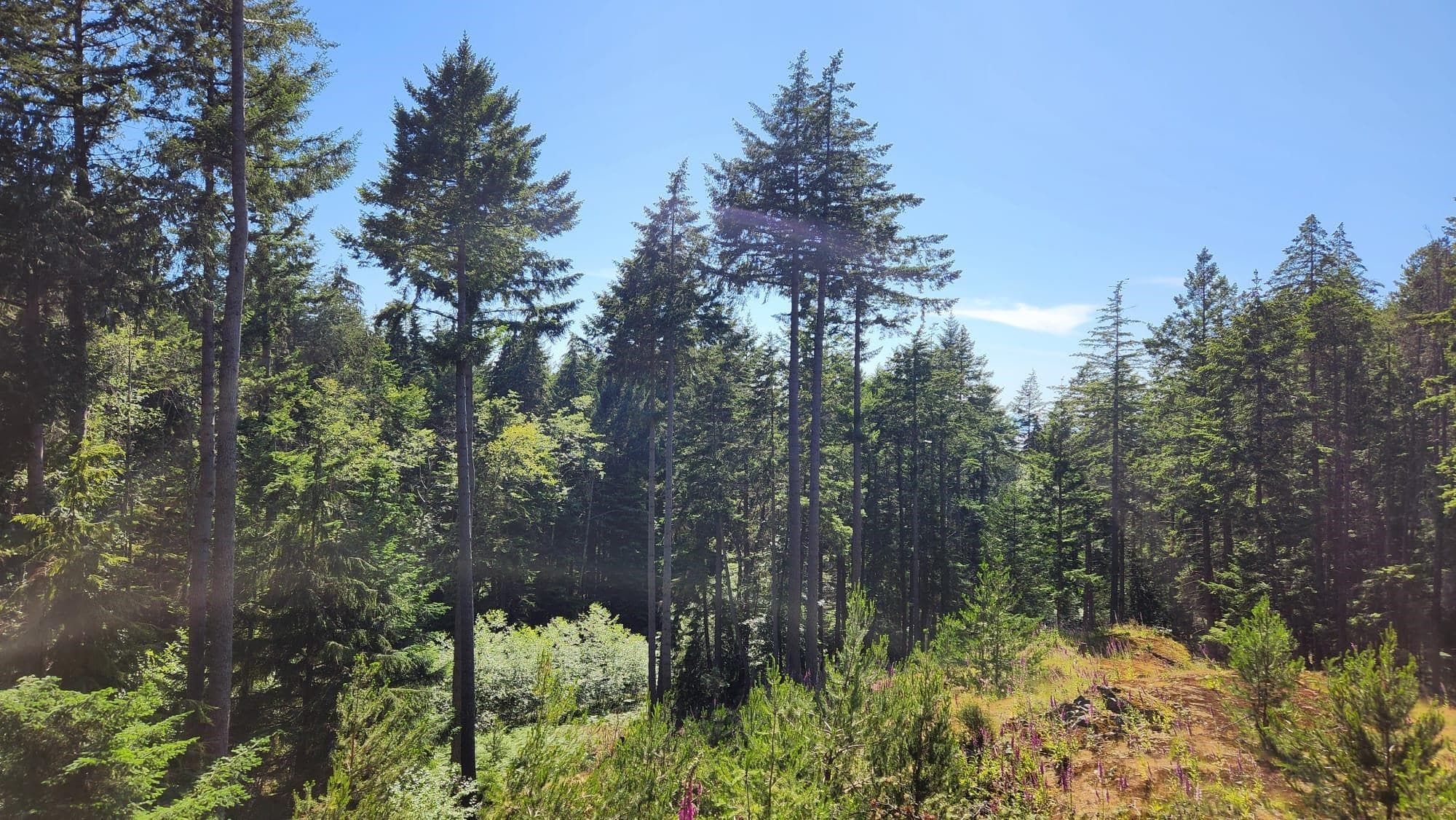 1765 Cape Drive, Bowen Island