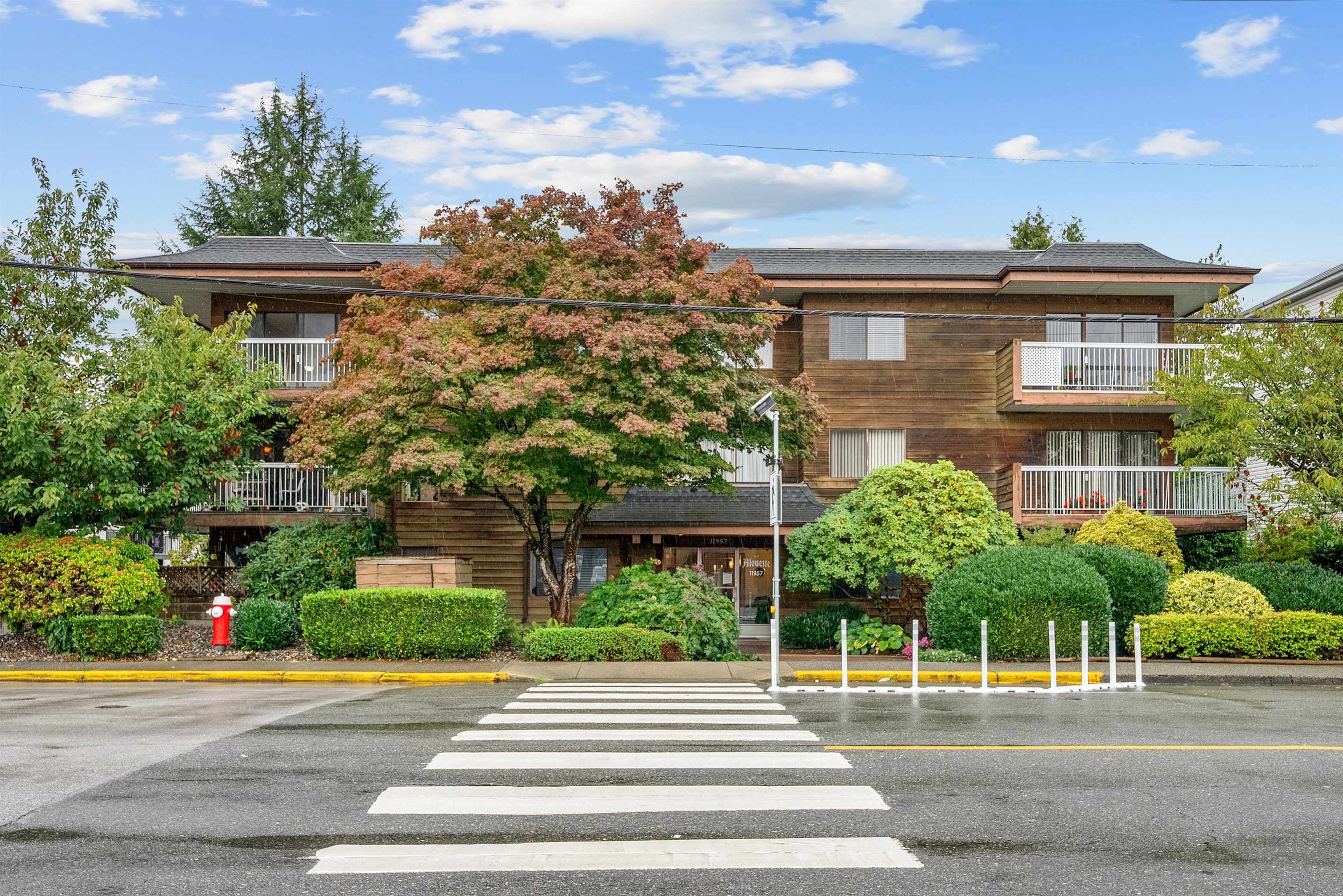 301 - 11957 223 Street, Maple Ridge