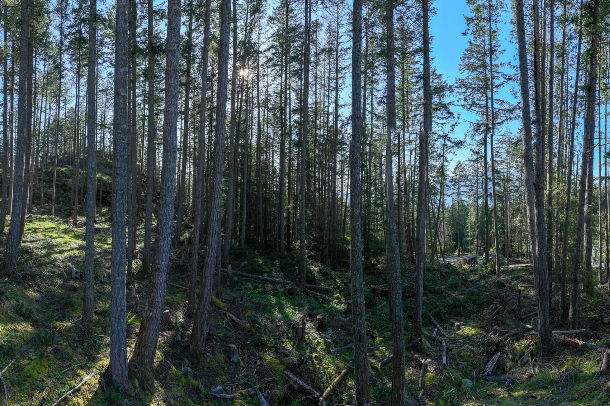 PH3 - LOT3 Arbutus Ridge, Bowen Island, V0N 1G2 — photo 2