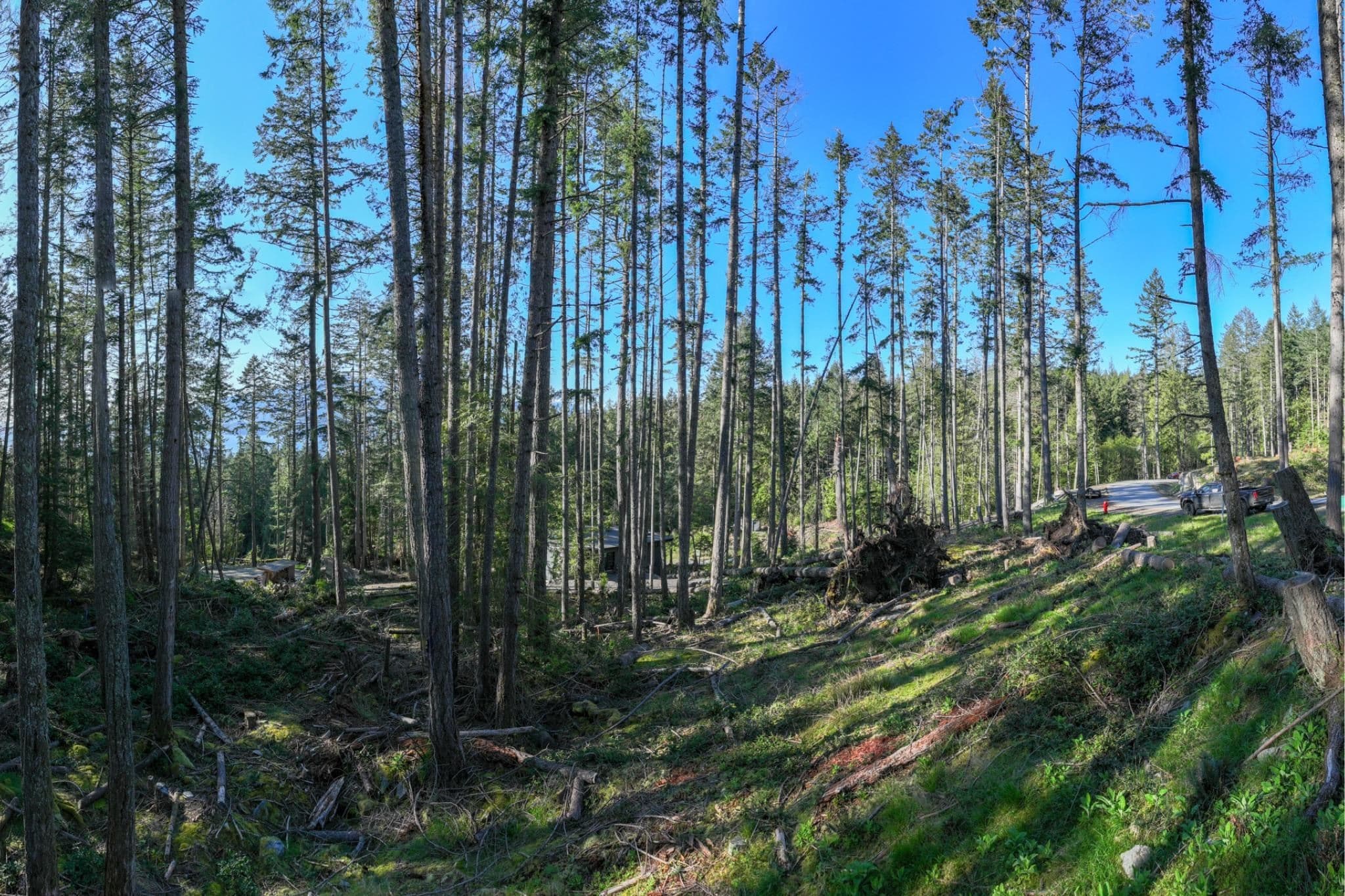 PH3 - LOT3 Arbutus Ridge, Bowen Island, V0N 1G2 — photo 3