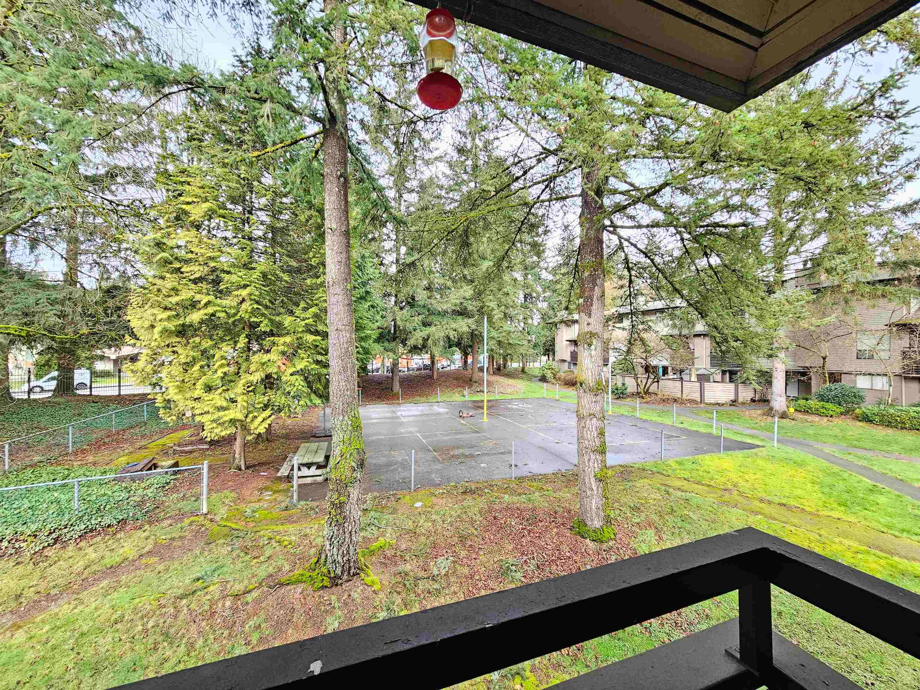10539 Holly Park Lane, Surrey, V3R 6X8 — photo 2