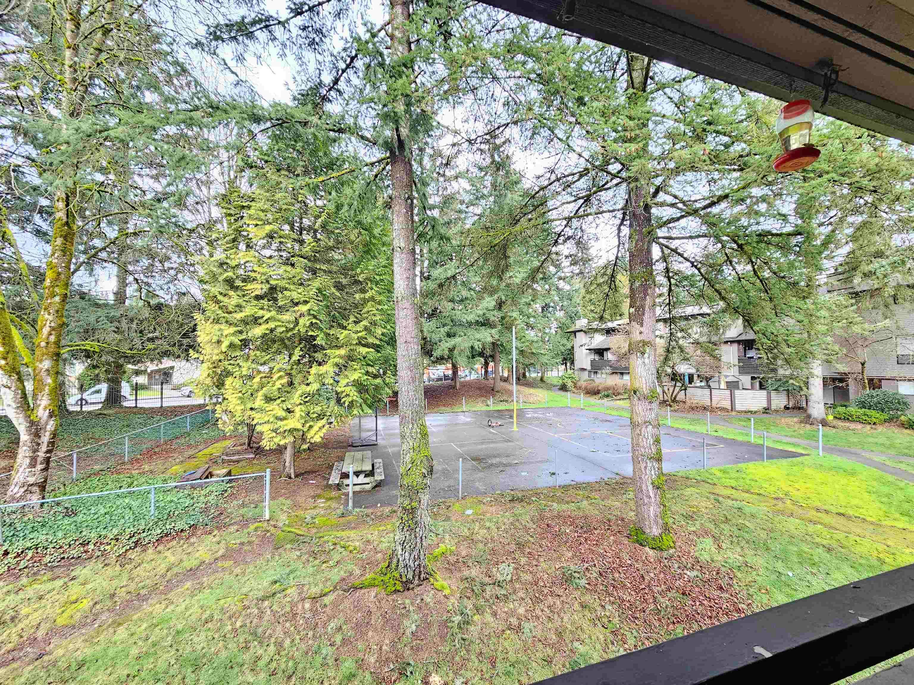 10539 Holly Park Lane, Surrey, V3R 6X8 — photo 3