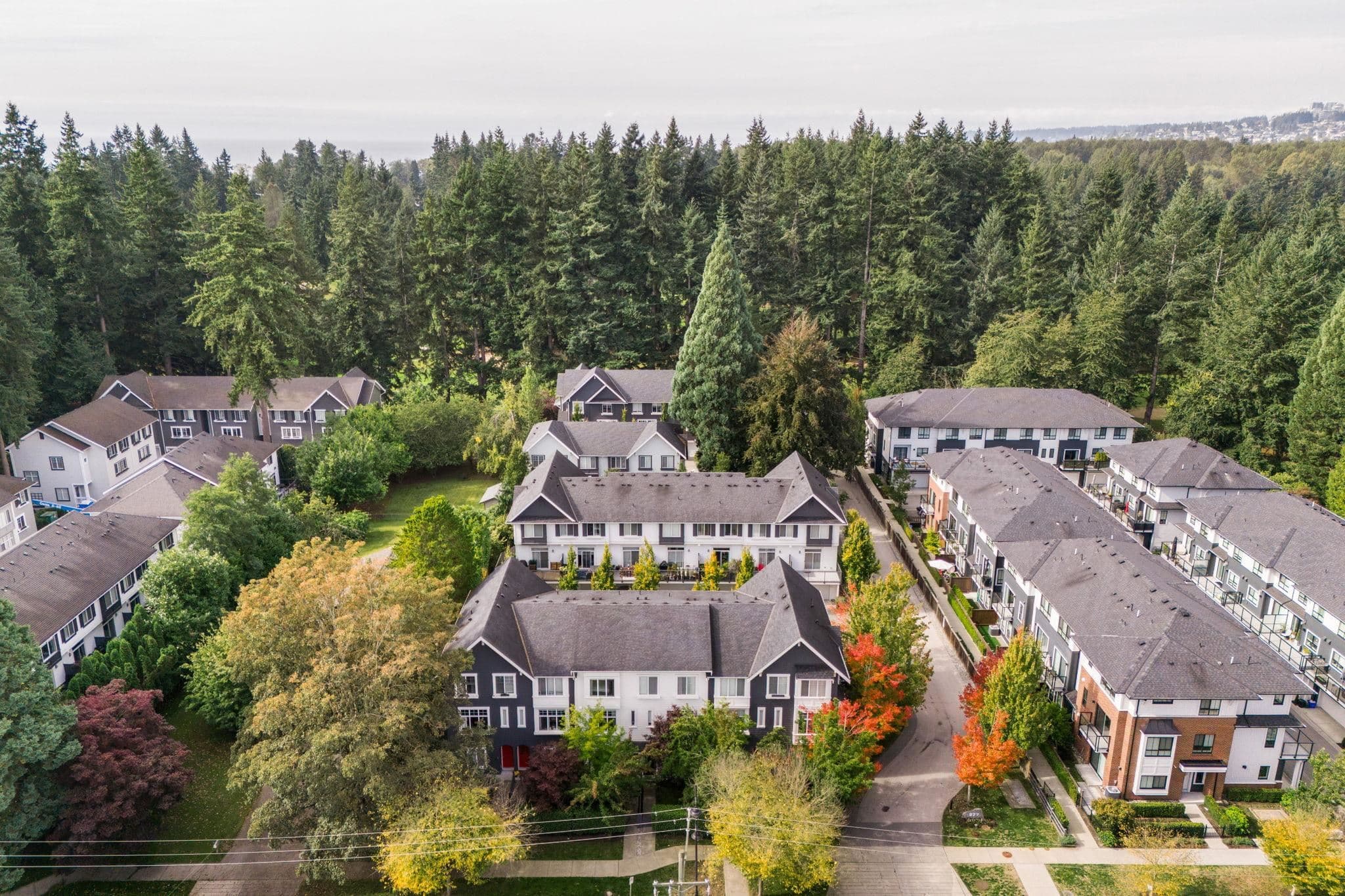 4 - 277 171 Street, Surrey, V3Z 9P4 — photo 2