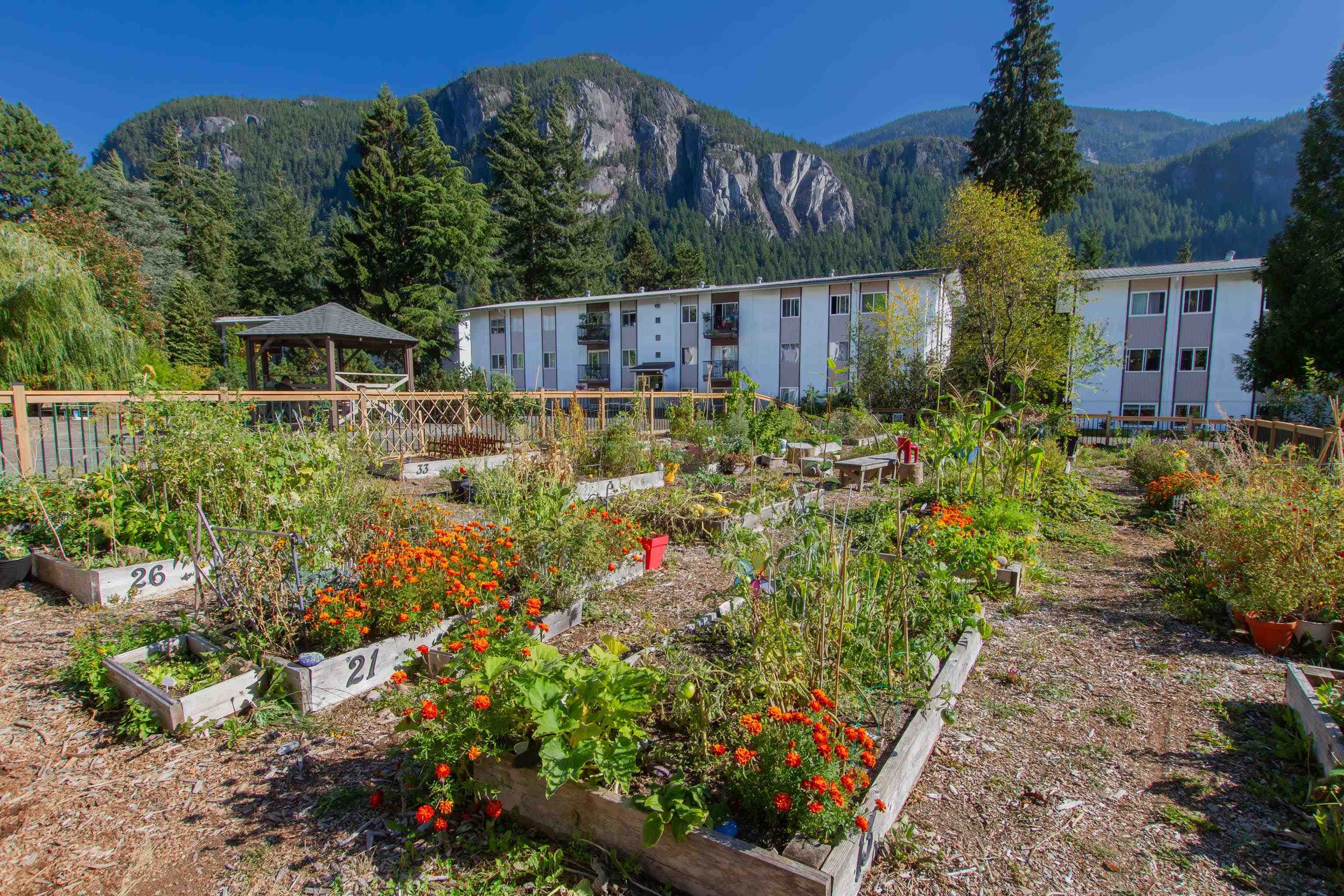 35 - 38175 Westway Avenue, Squamish