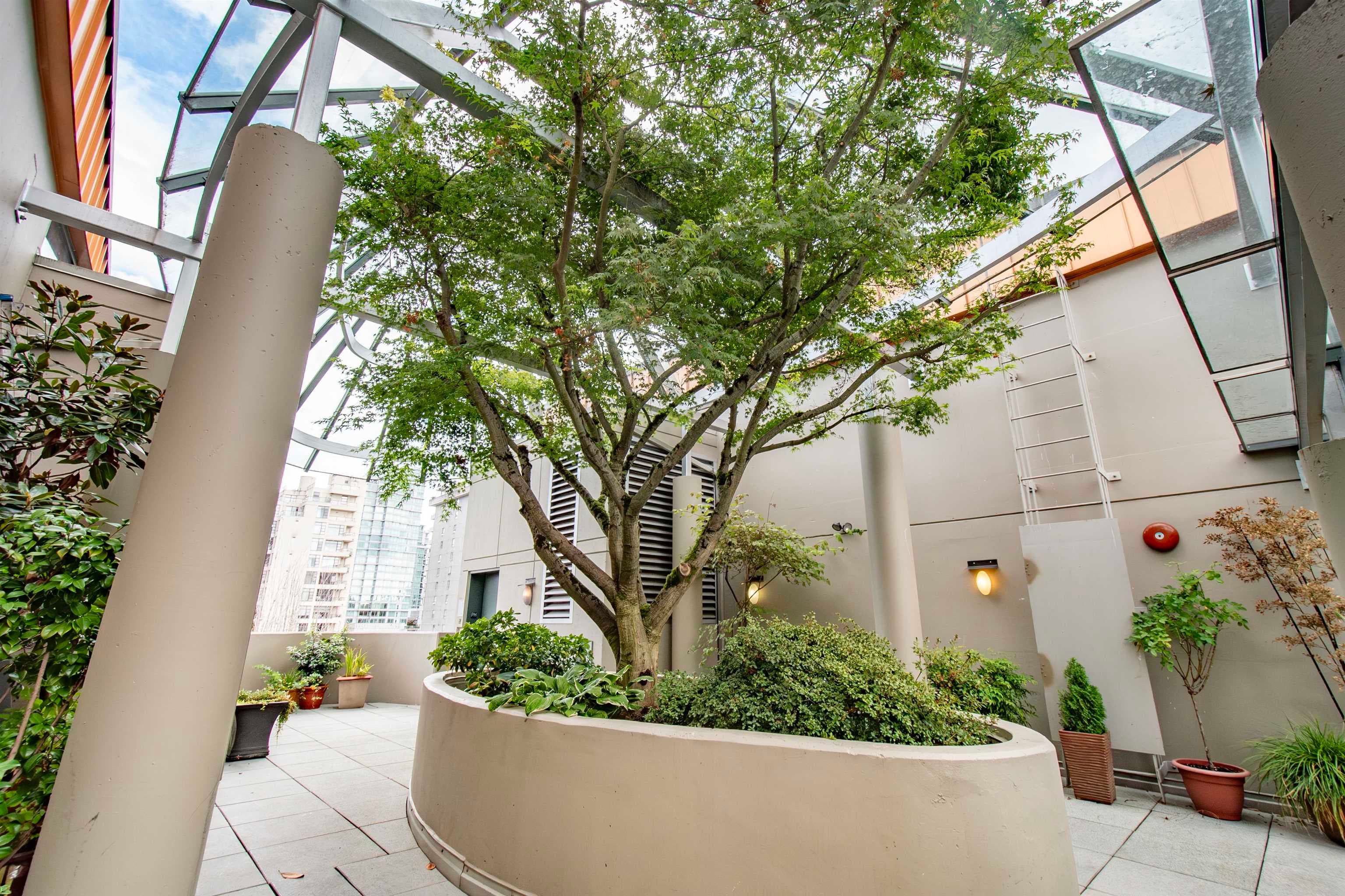 PH4 - 1688 Robson Street, Vancouver, V6G 1C7 — photo 5