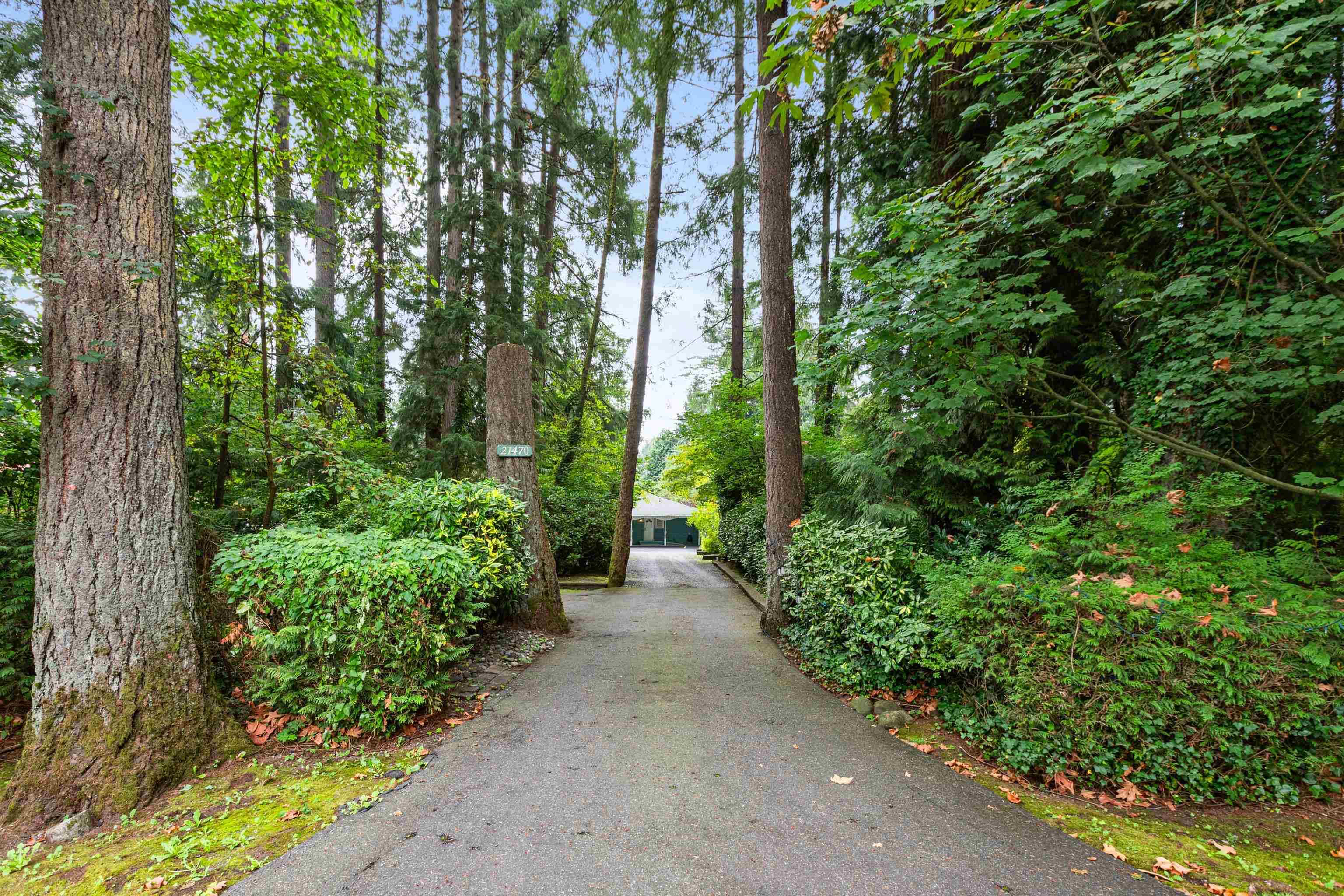 21470 124th Avenue, Maple Ridge, V2X 4H3 — photo 2