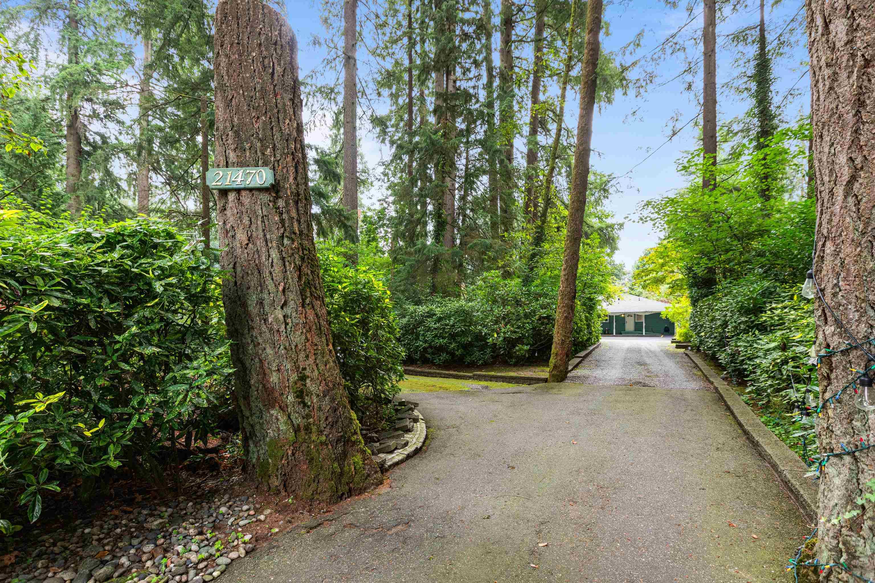 21470 124th Avenue, Maple Ridge, V2X 4H3 — photo 3