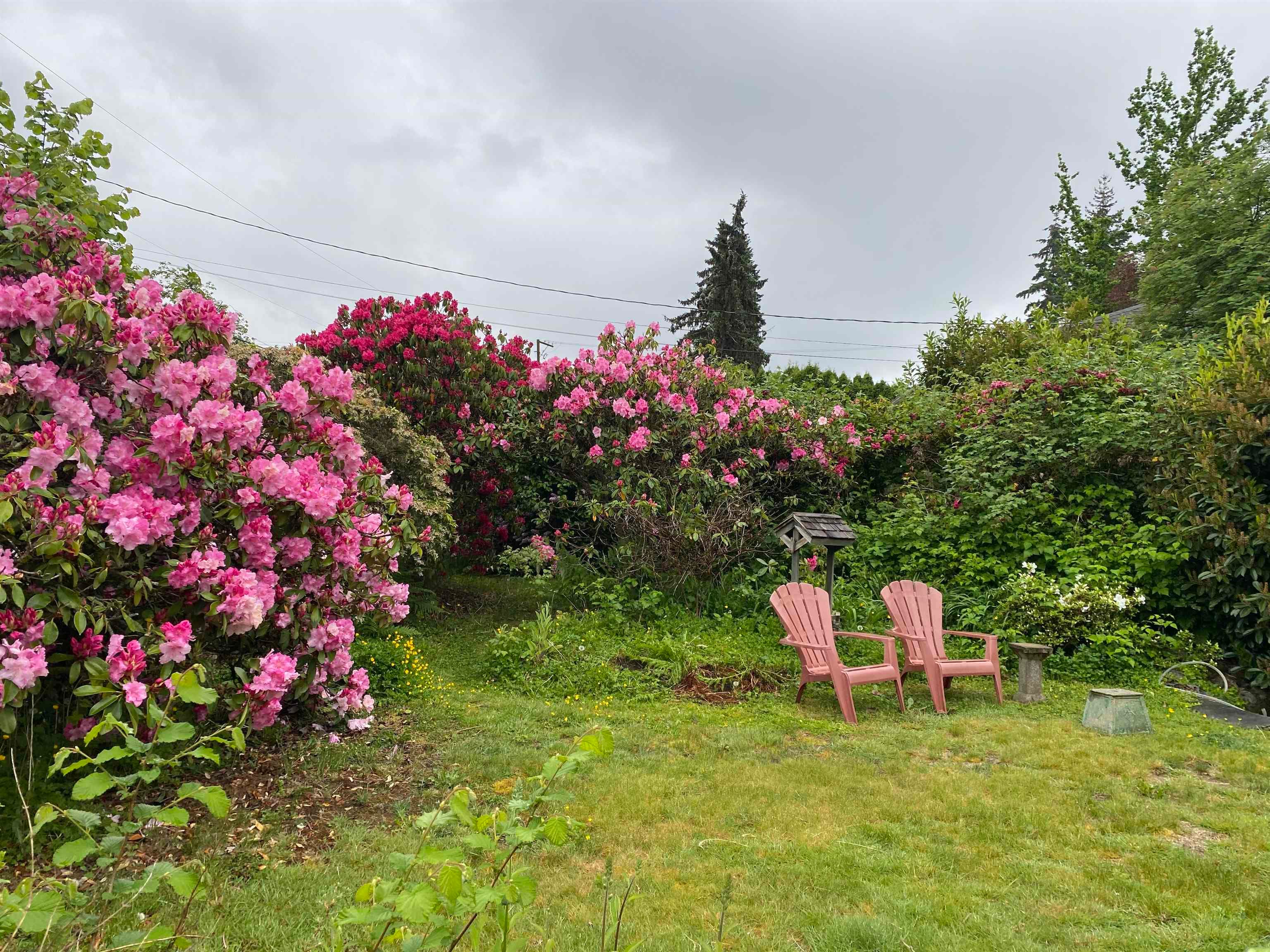 12213 218 Street, Maple Ridge, V2X 5M4 — photo 3