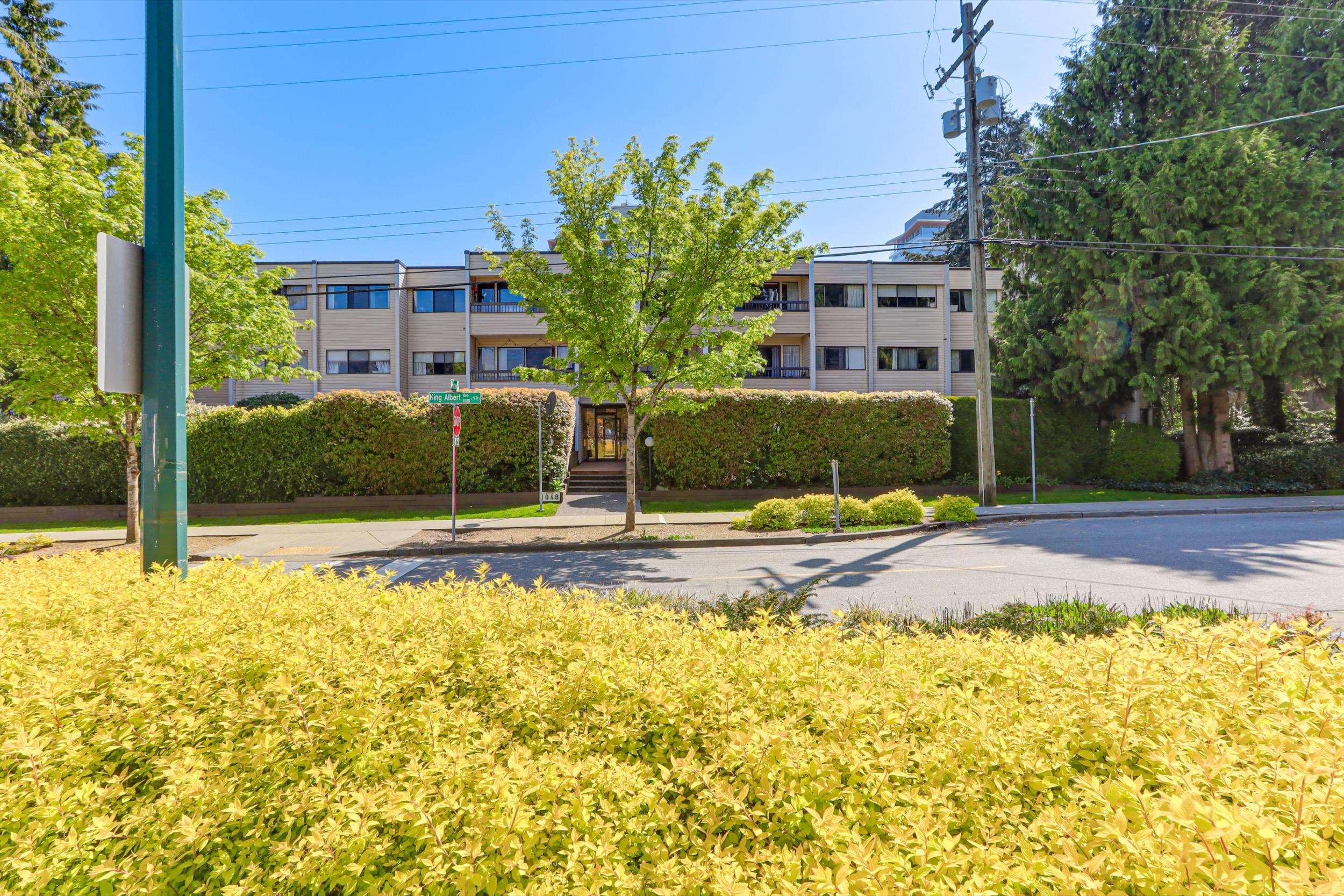 301 - 1048 King Albert Avenue, Coquitlam, V3J 1X5 — photo 2