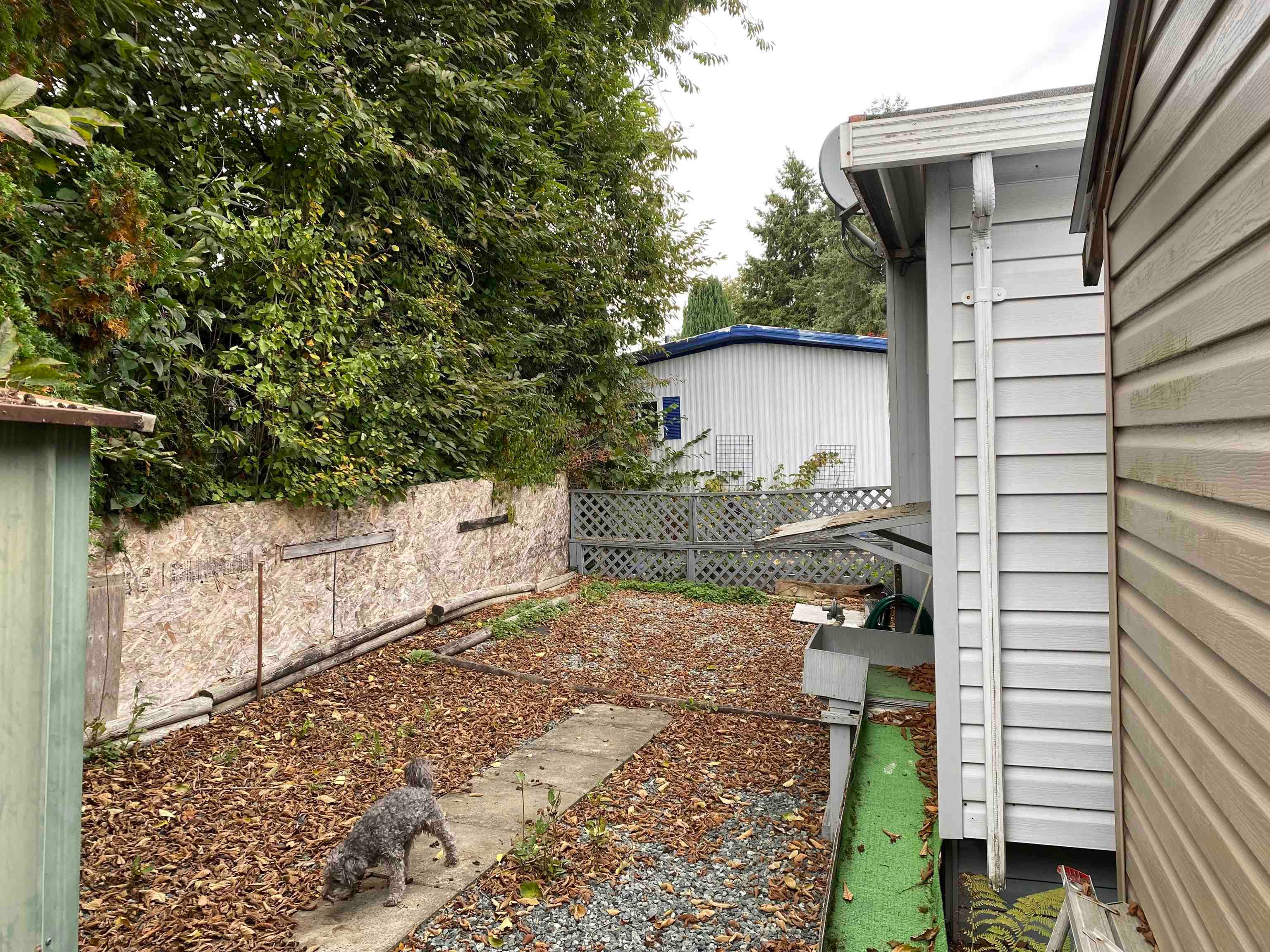 42 - 13650 80 Street, Surrey, V3W 6J8 — photo 2