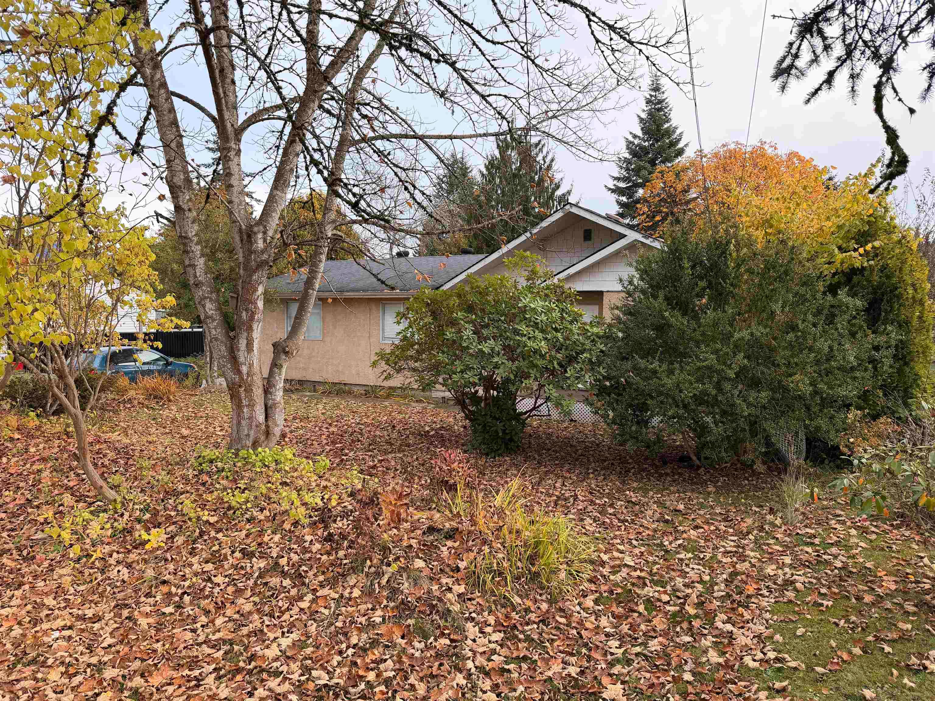 12244 227 Street, Maple Ridge, V2X 6J5 — photo 2