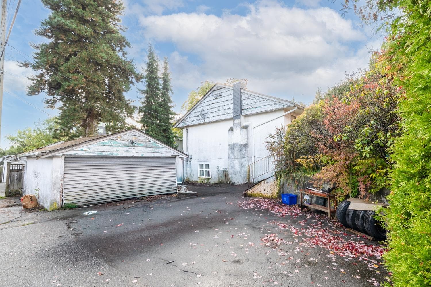 470 W 46th Avenue, Vancouver, V5Y 2X6 — photo 4