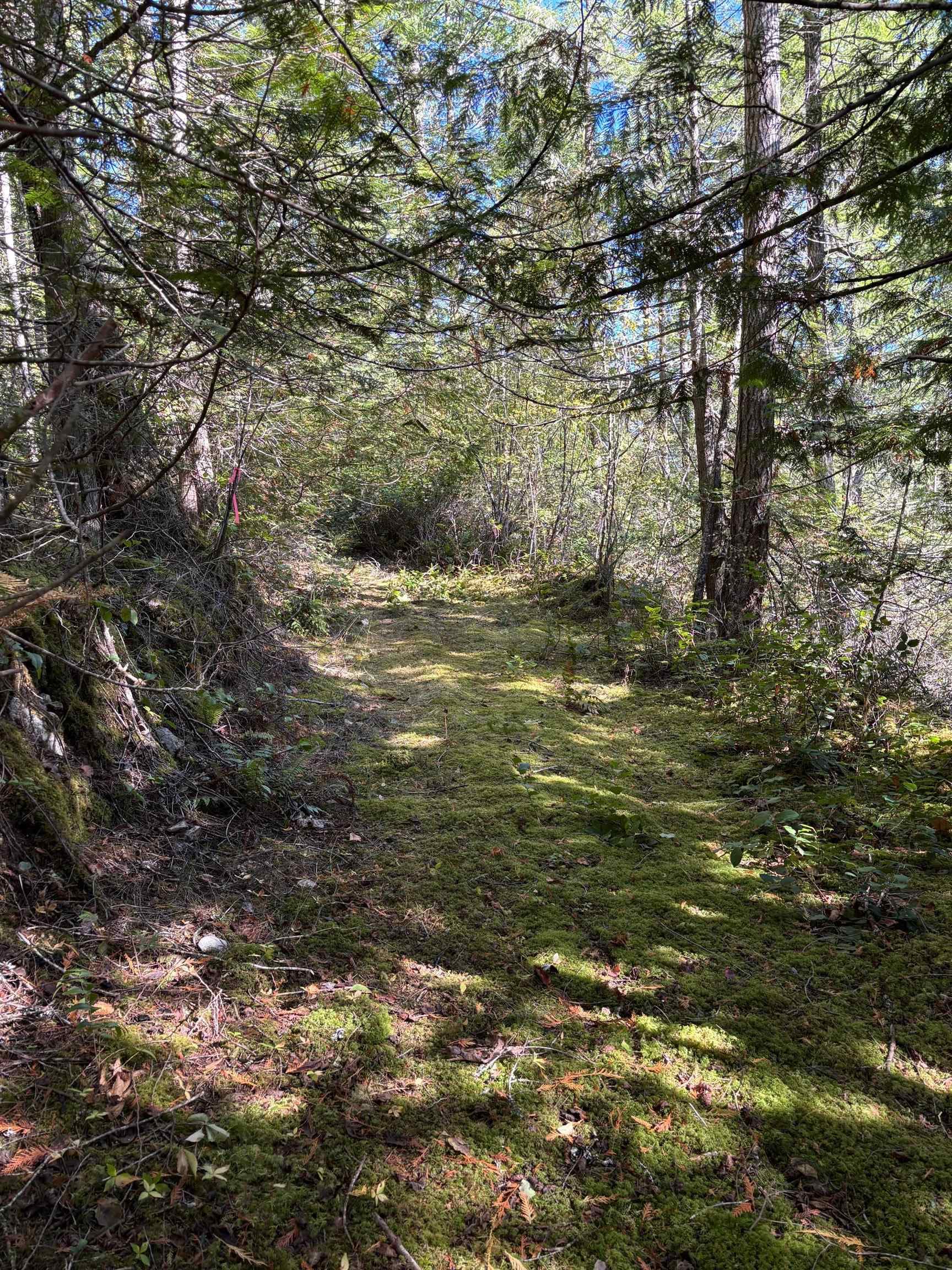 LOT B Porters Road, Pender Harbour