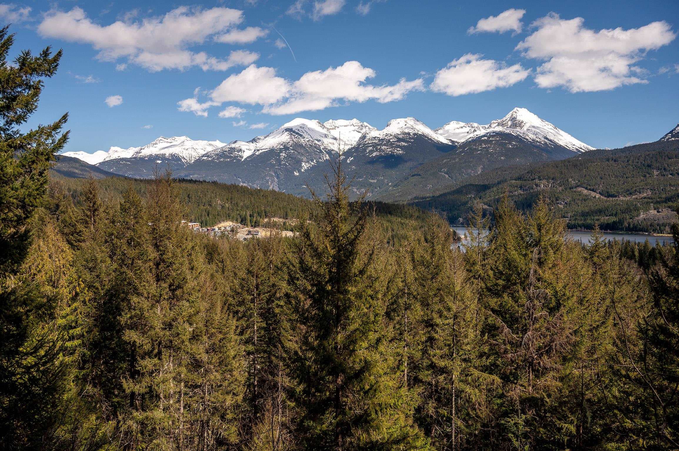 8365 Mountain View Drive, Whistler, V8E 0G3 — photo 2