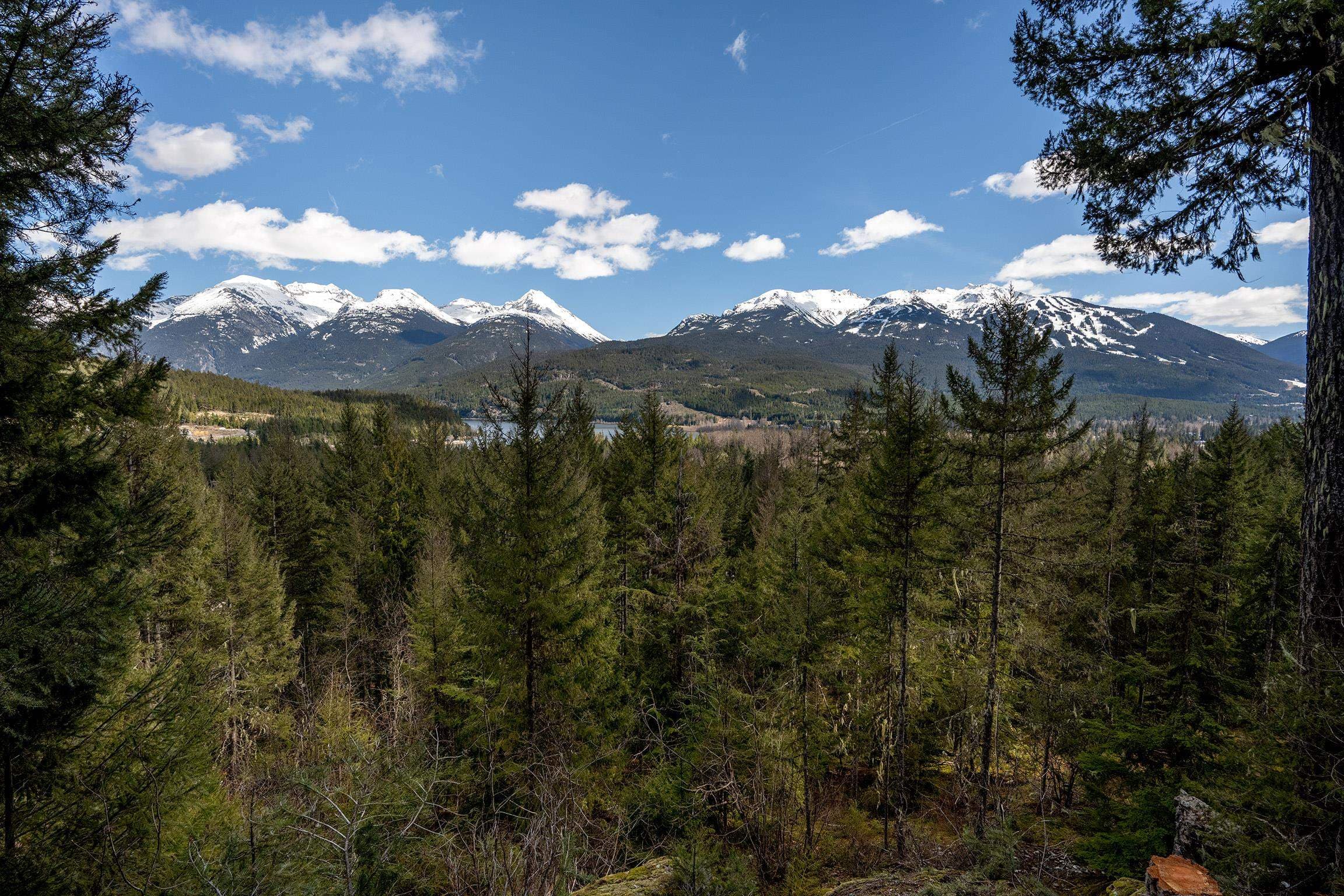 8365 Mountain View Drive, Whistler, V8E 0G3 — photo 3