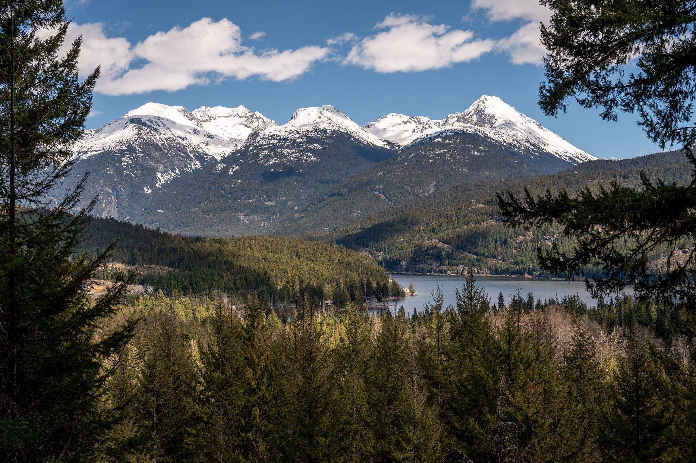 8365 Mountain View Drive, Whistler